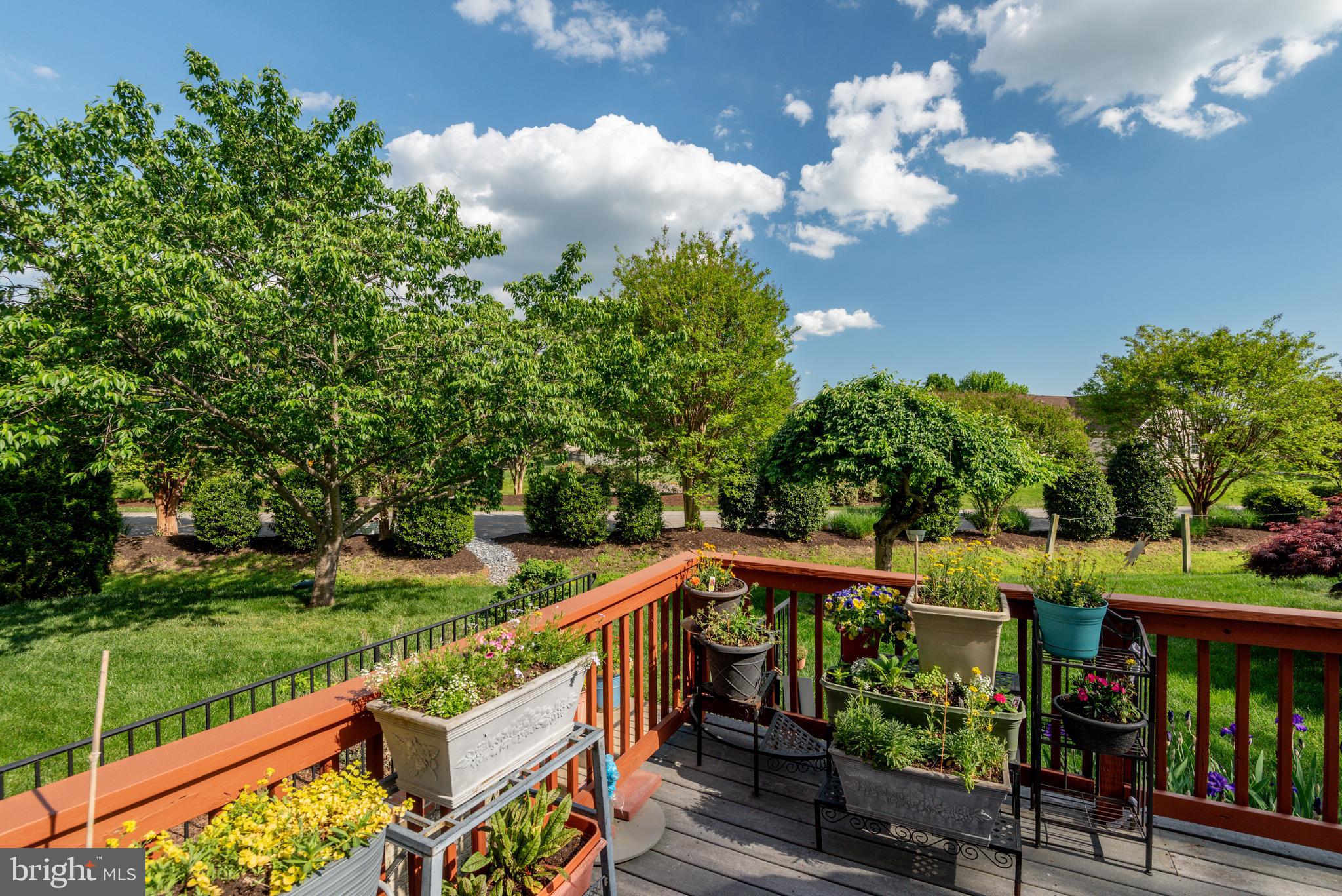 ESTATES AT SINGLETREE - Residential