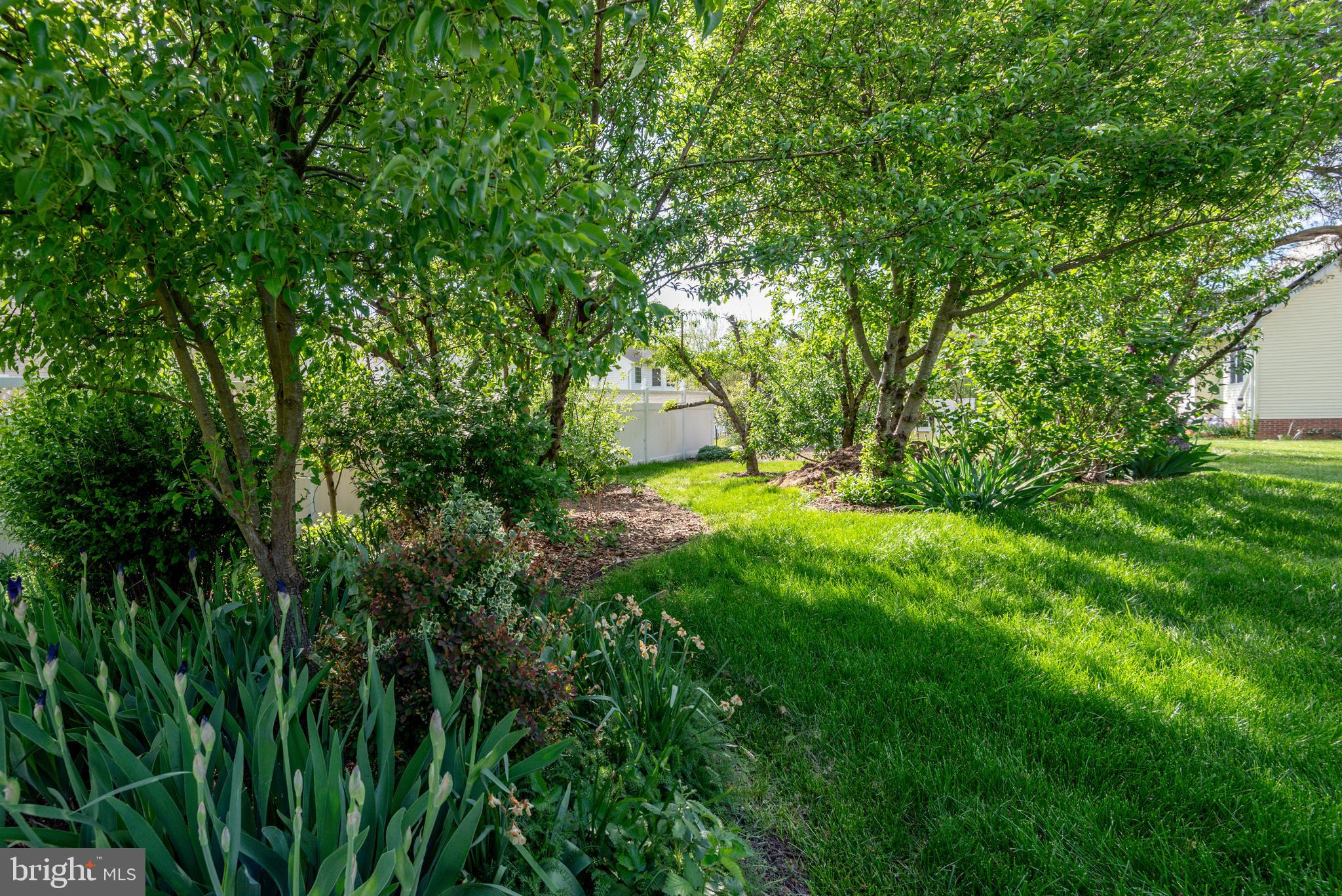 ESTATES AT SINGLETREE - Residential