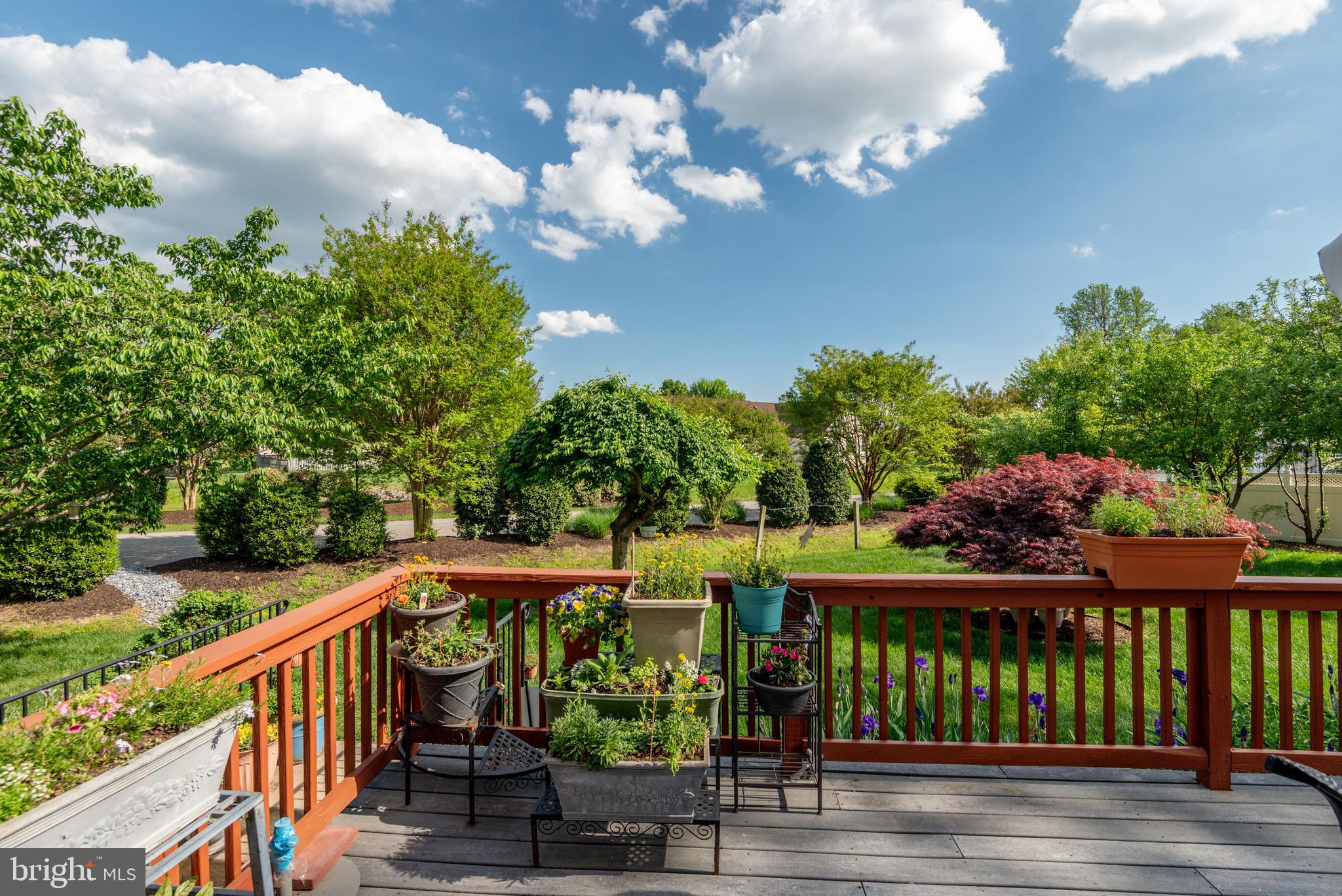 ESTATES AT SINGLETREE - Residential