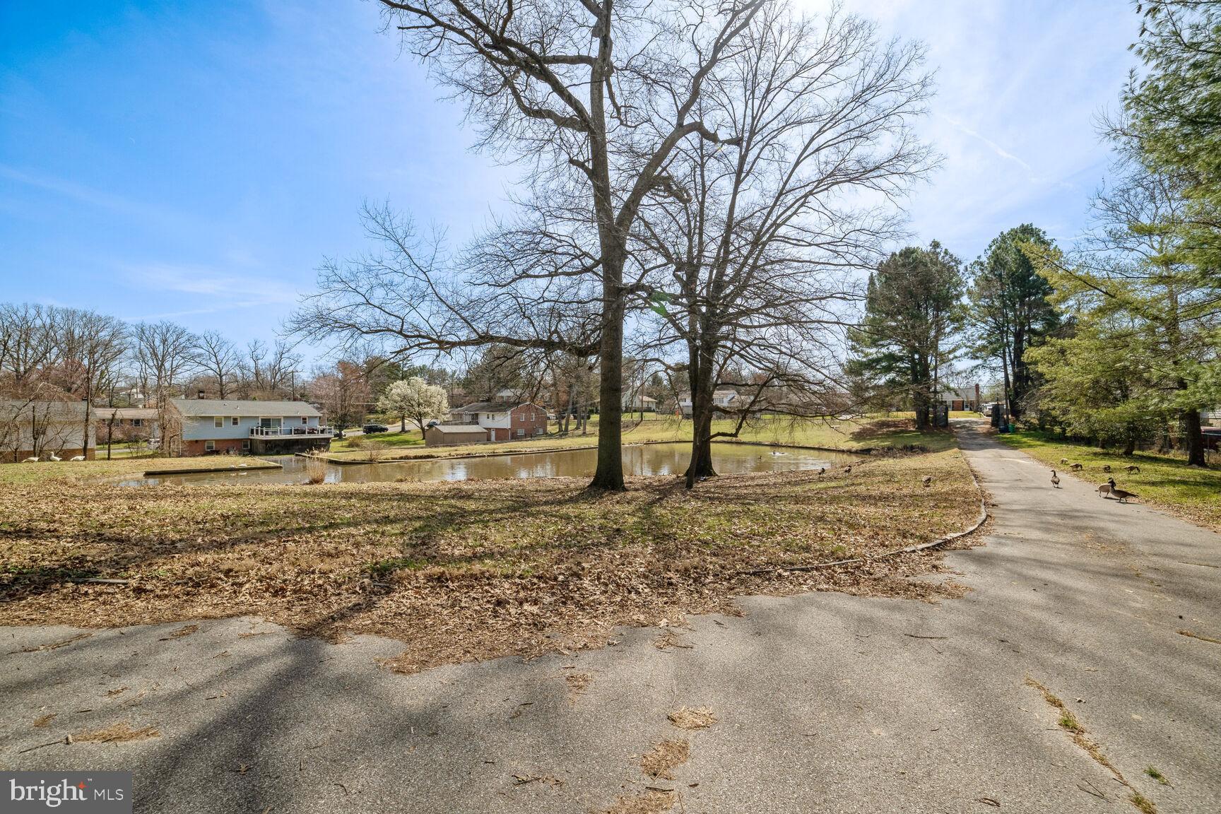 STIRLING FOREST - Residential