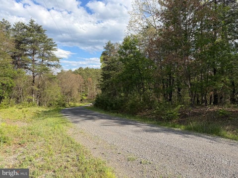 Vacant Land For Sale - Green Ridge Drive<br/> GREEN SPRING, WV 26722
