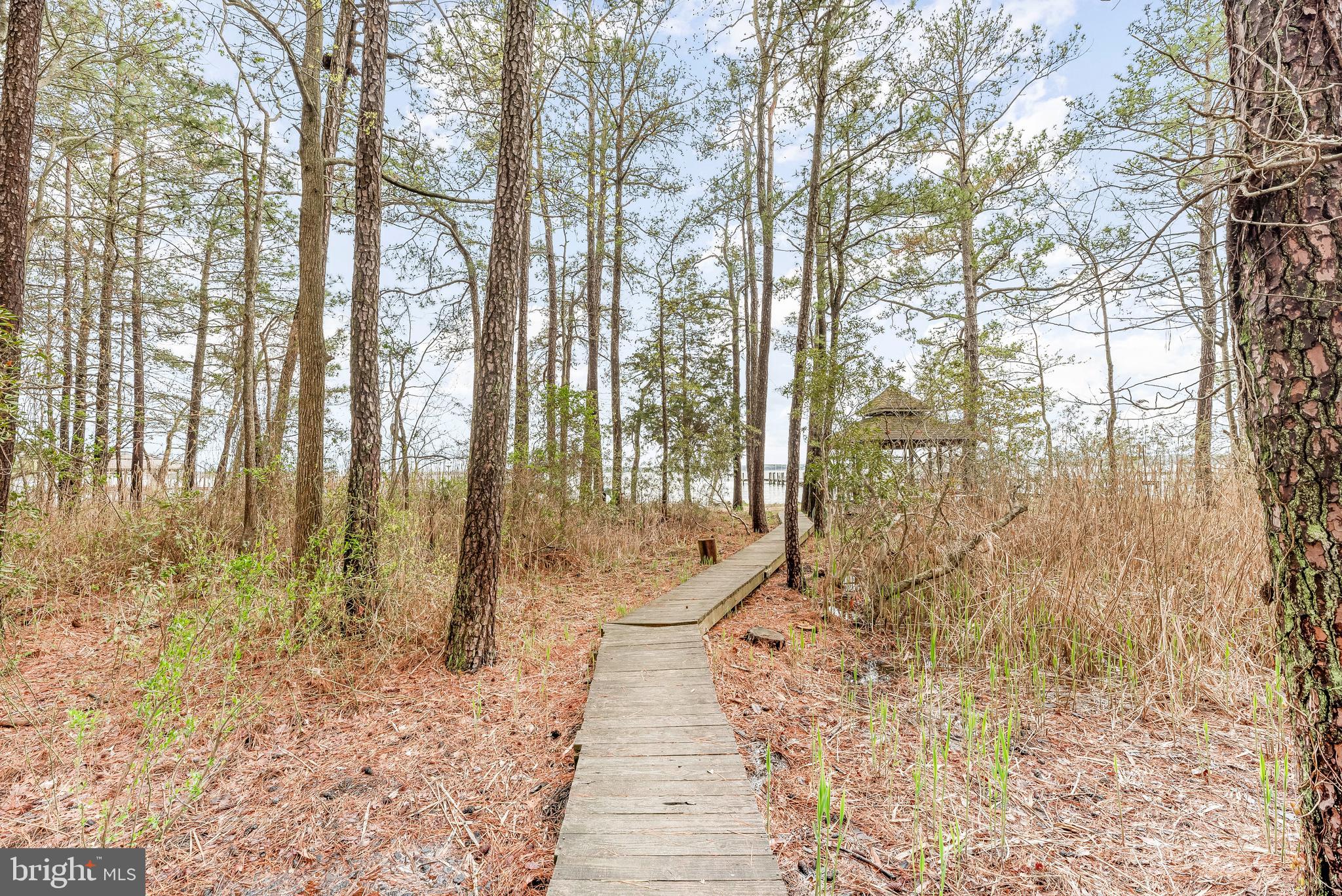 HARBOR LIGHT BEACH - Residential