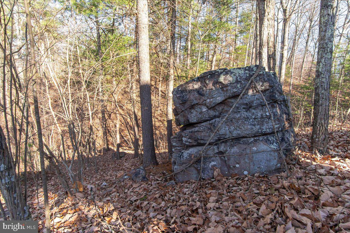 CHESTNUT GROVE - Residential