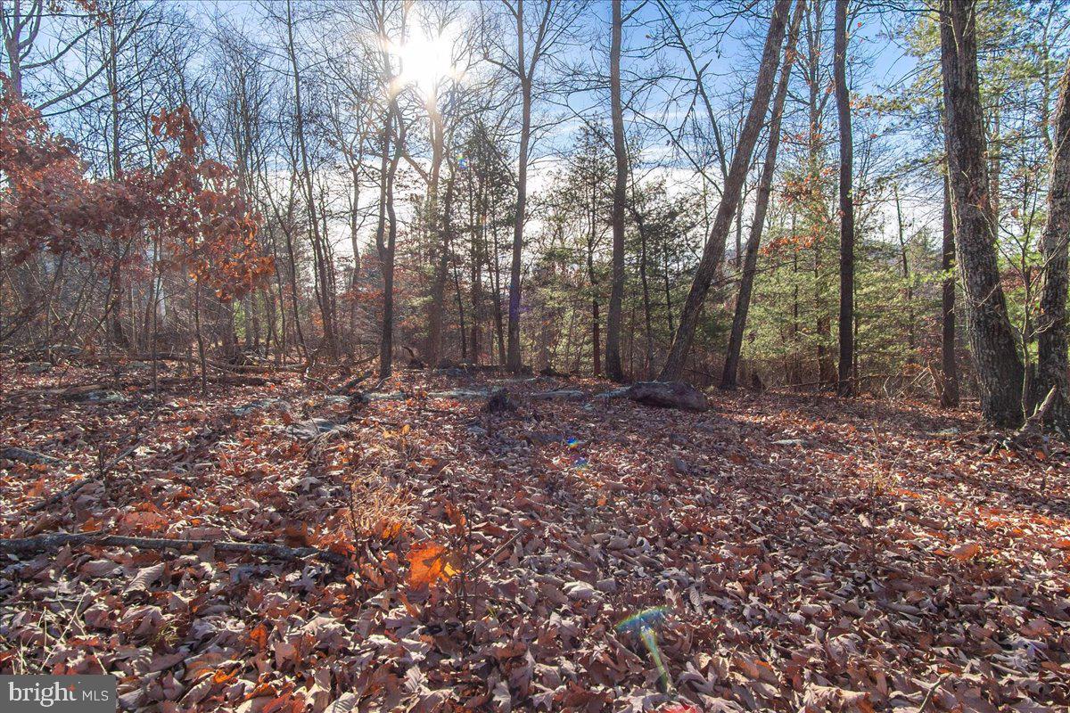 CHESTNUT GROVE - Residential