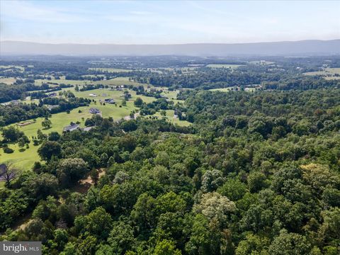 Vacant Land For Sale - LOT 20 Hampstead Court<br/> MAURERTOWN, VA 22644