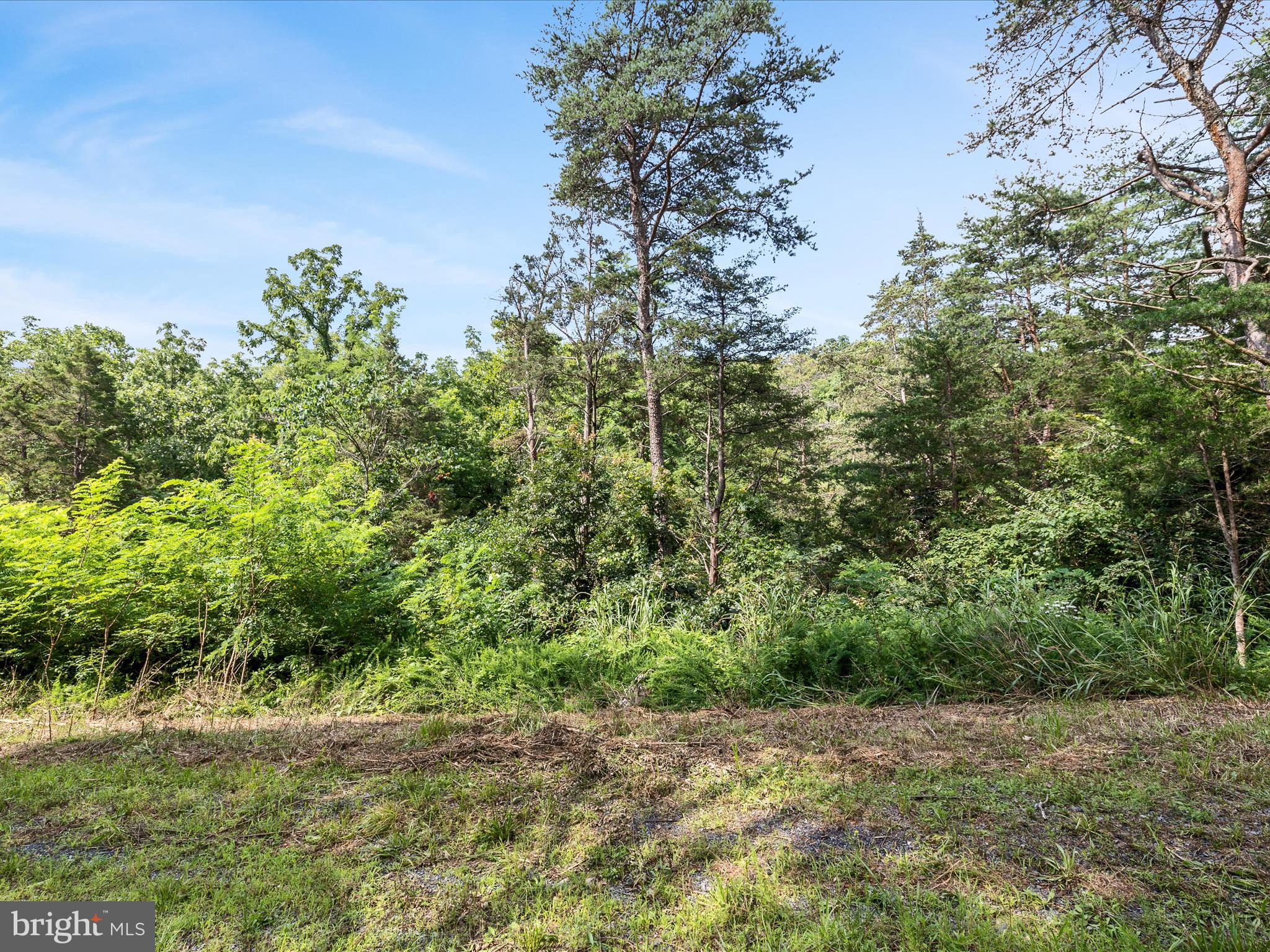 Lot 20 HAMPSTEAD COURT
