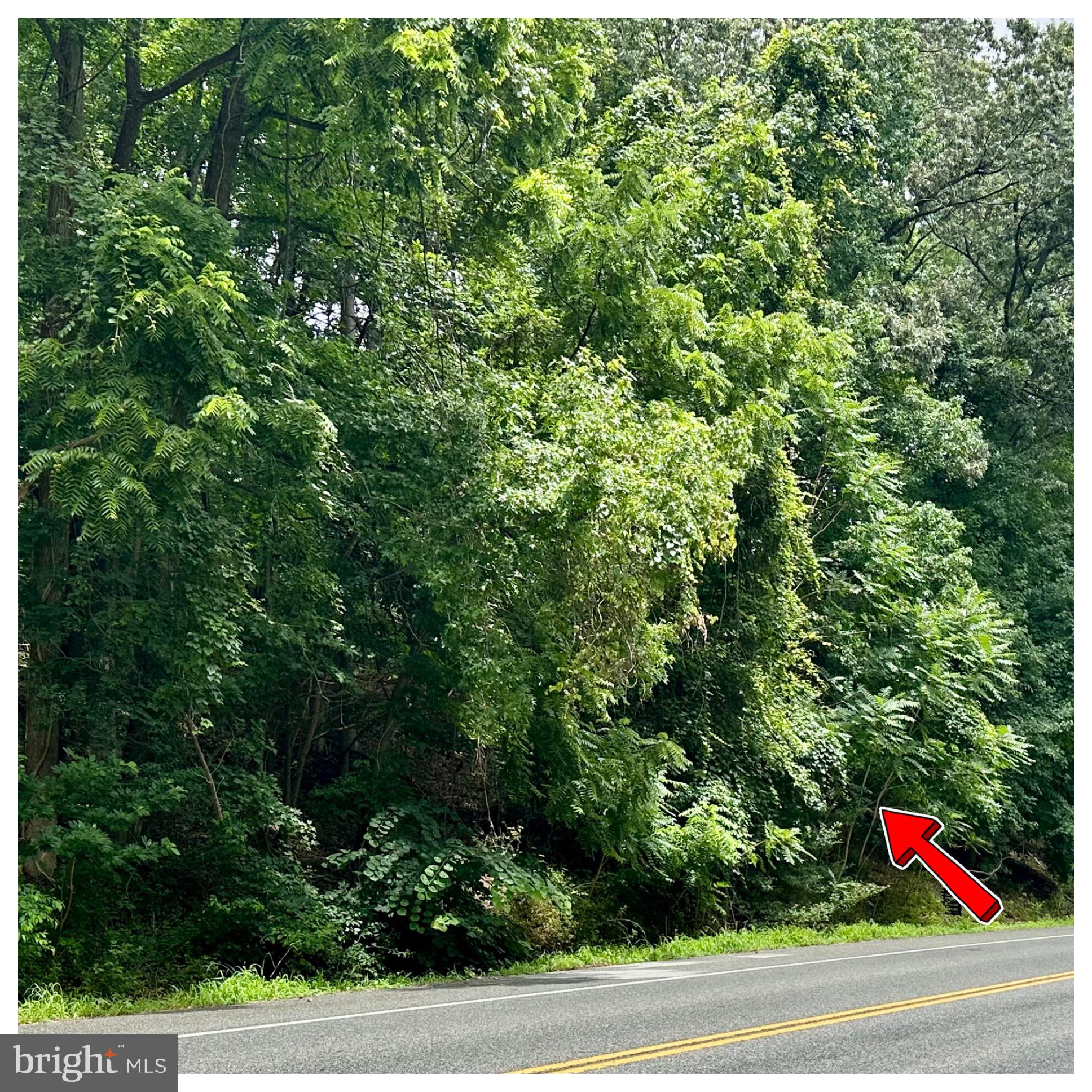 11450 BUDDS CREEK ROAD