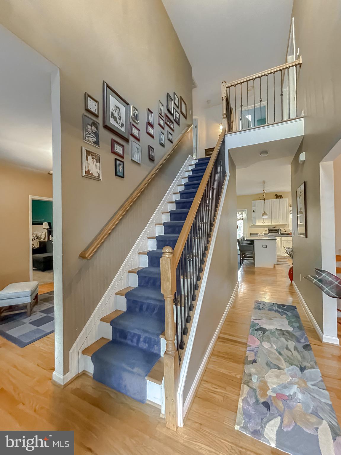 CHESTNUT HILLS - Residential