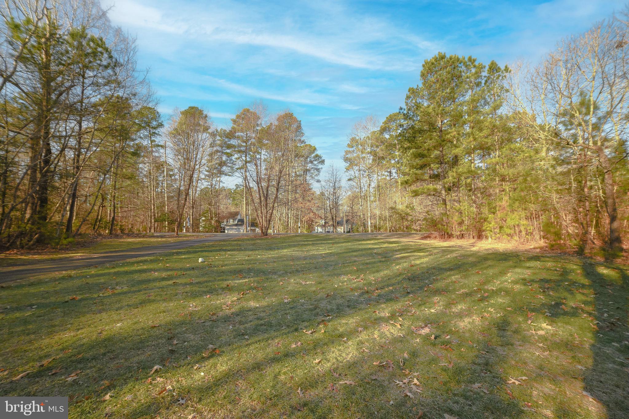 CHESTNUT HILLS - Residential