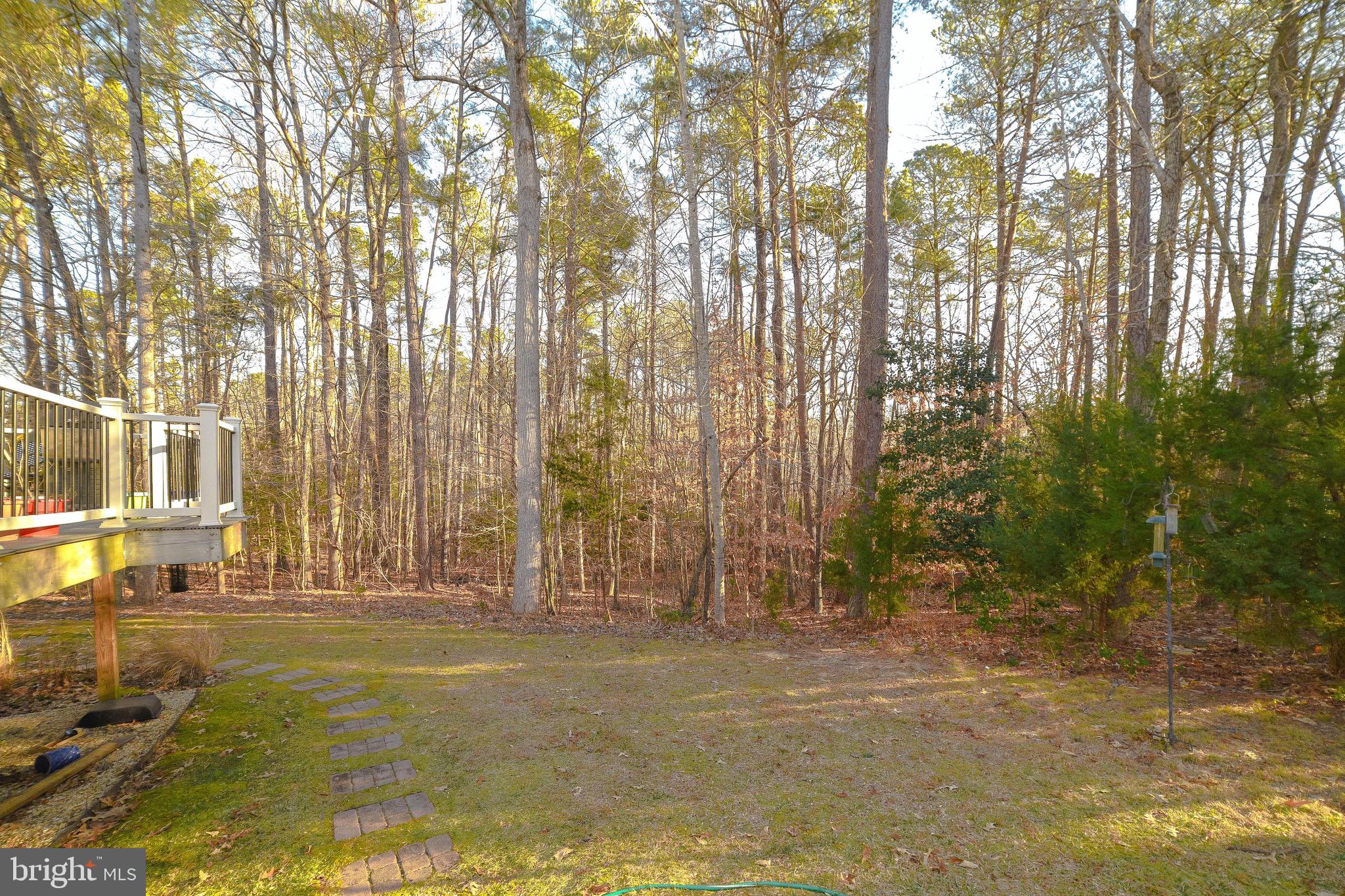 CHESTNUT HILLS - Residential