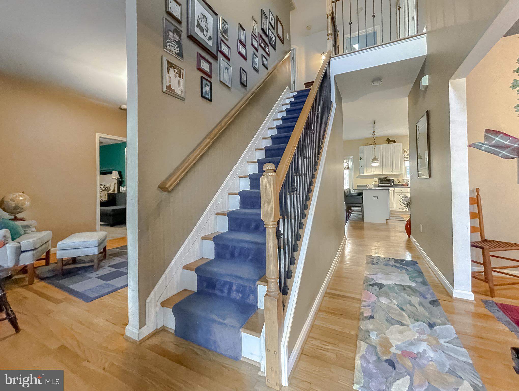 CHESTNUT HILLS - Residential