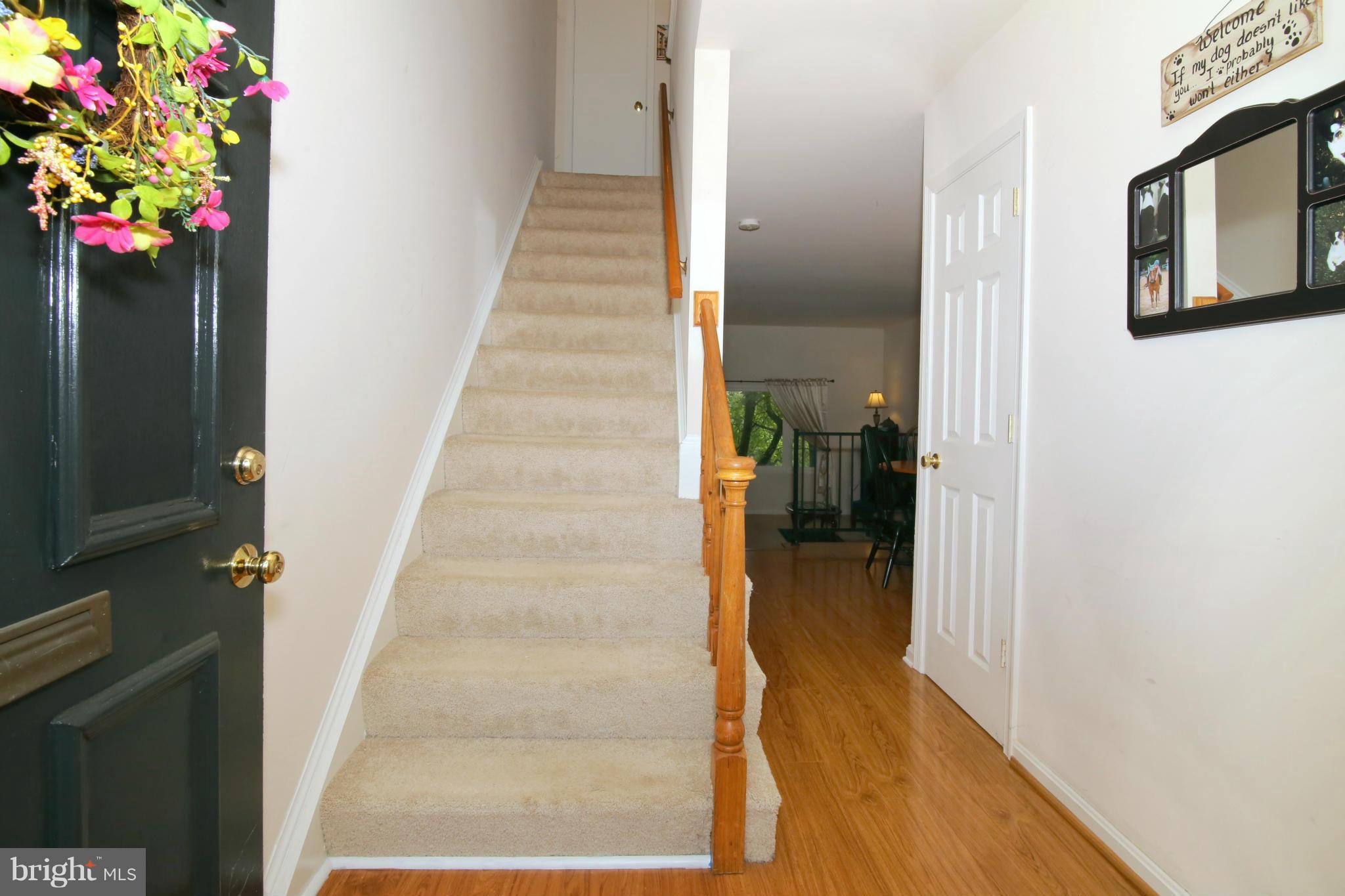 CARDINAL FOREST - Residential