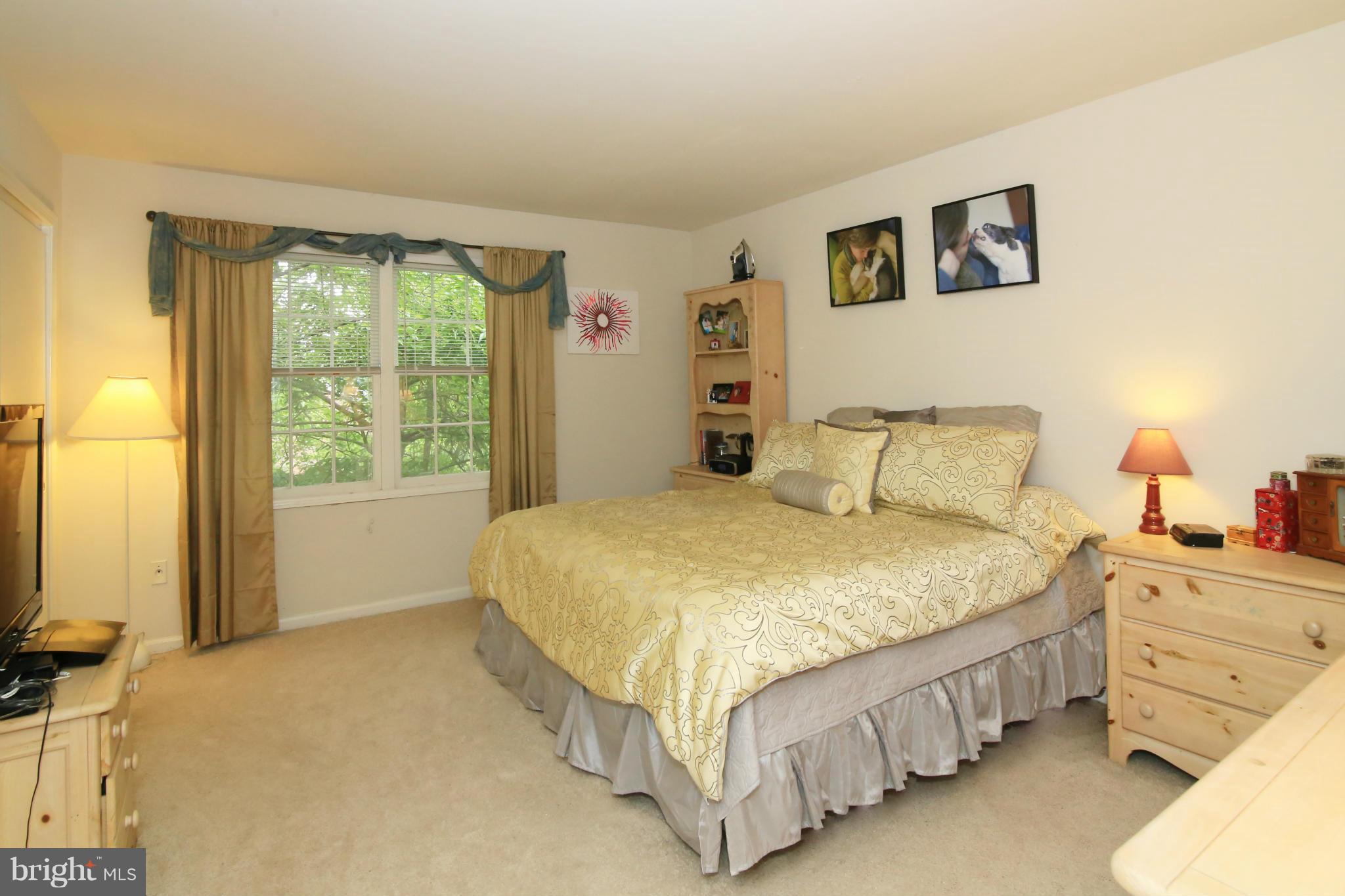 CARDINAL FOREST - Residential