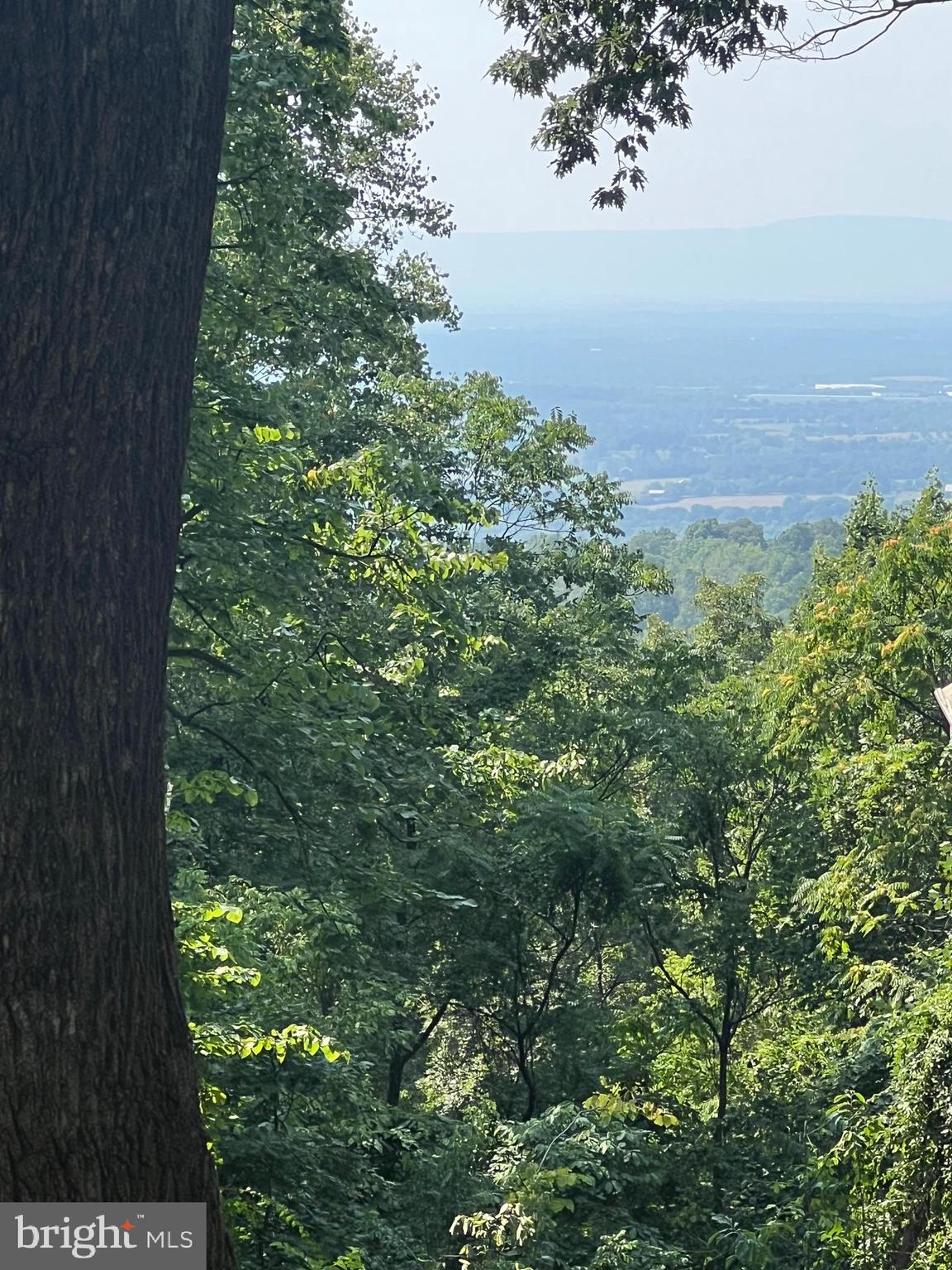 SHEN FARMS MT VIEW - Residential