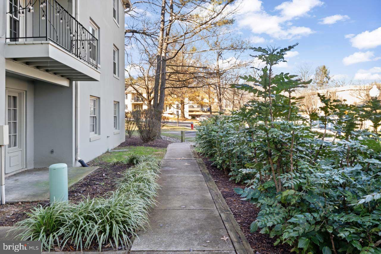 CARDINAL  FOREST - Residential