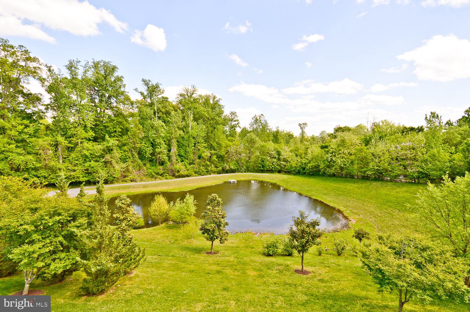 SUMMERFIELD AT MORGAN ST - Residential Lease