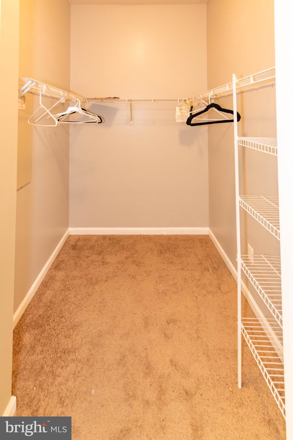 THE VILLAGE AT COLLINGTON - Residential