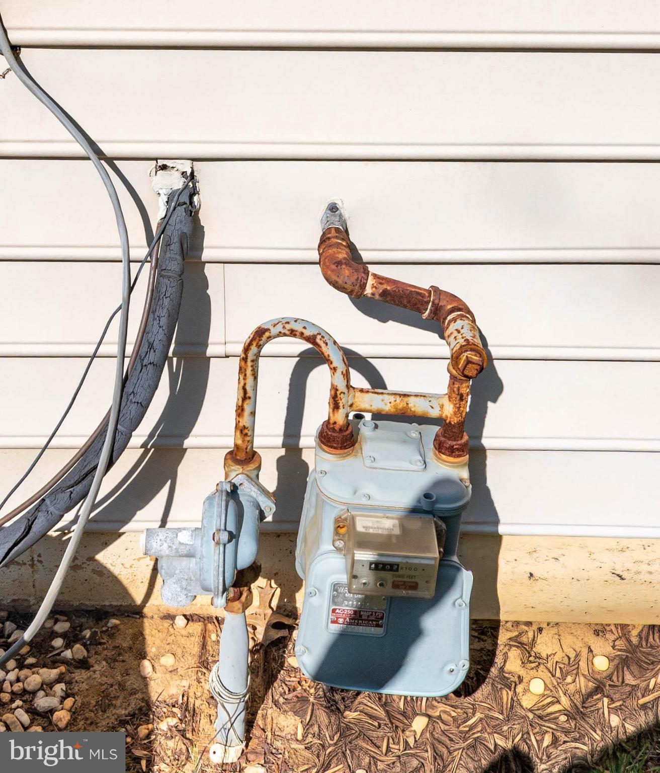 THE VILLAGE AT COLLINGTON - Residential