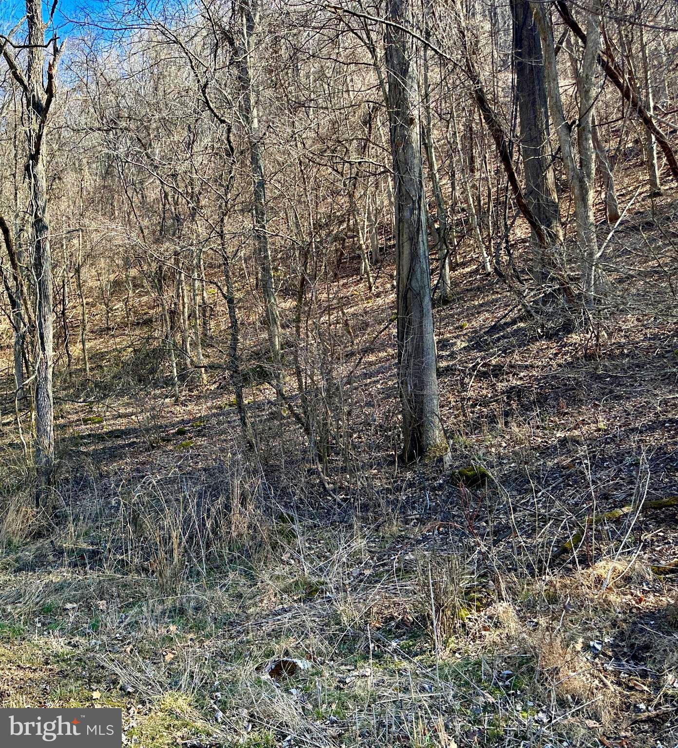 NONE UNRESTRICTED - Land