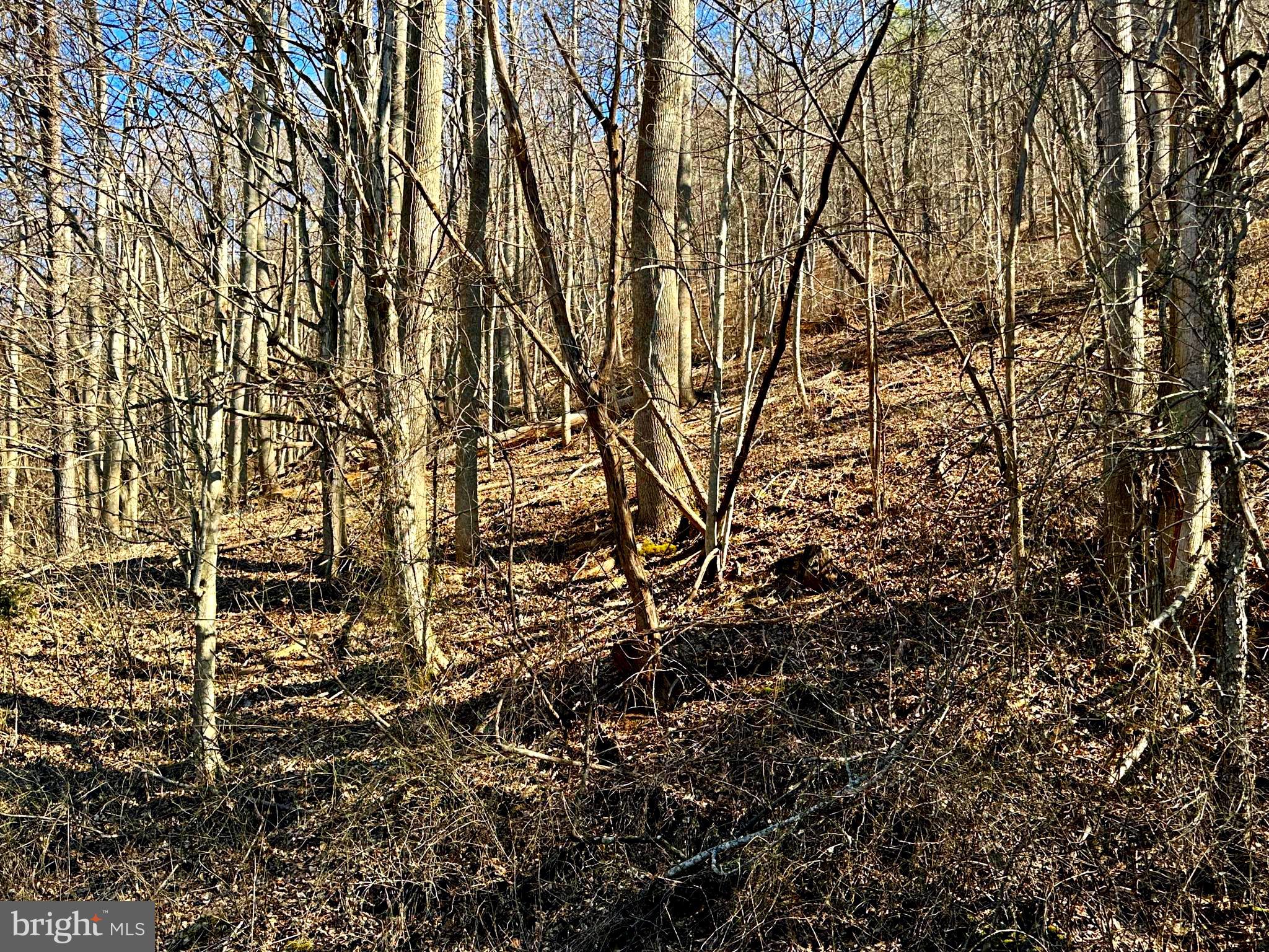 NONE UNRESTRICTED - Land