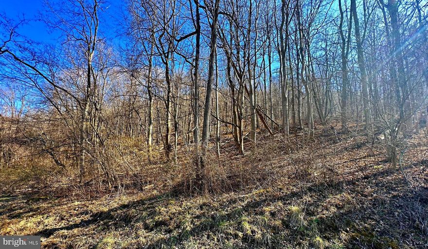 "TAKE ME HOME COUNTRY ROADS" to South Fork, Hardy County, West Virginia. This brings to mind the John Denver song that you hear reverberating through the beautiful mountains of Wild Wonderful West Virginia. Here you will discover 30 wooded acres awaiting your vision for relaxing and unwinding.  The property offers a beautiful mountain setting in a quiet countryside surrounded with plenty of opportunities for the recreational fun-loving friends & family.  GW National Forest & South Branch of the Potomac River Nearby.  An Avid Hunter or Wanna Be Hunter?  This just may be the parcel for you!  Come . . . join us in the mountains.