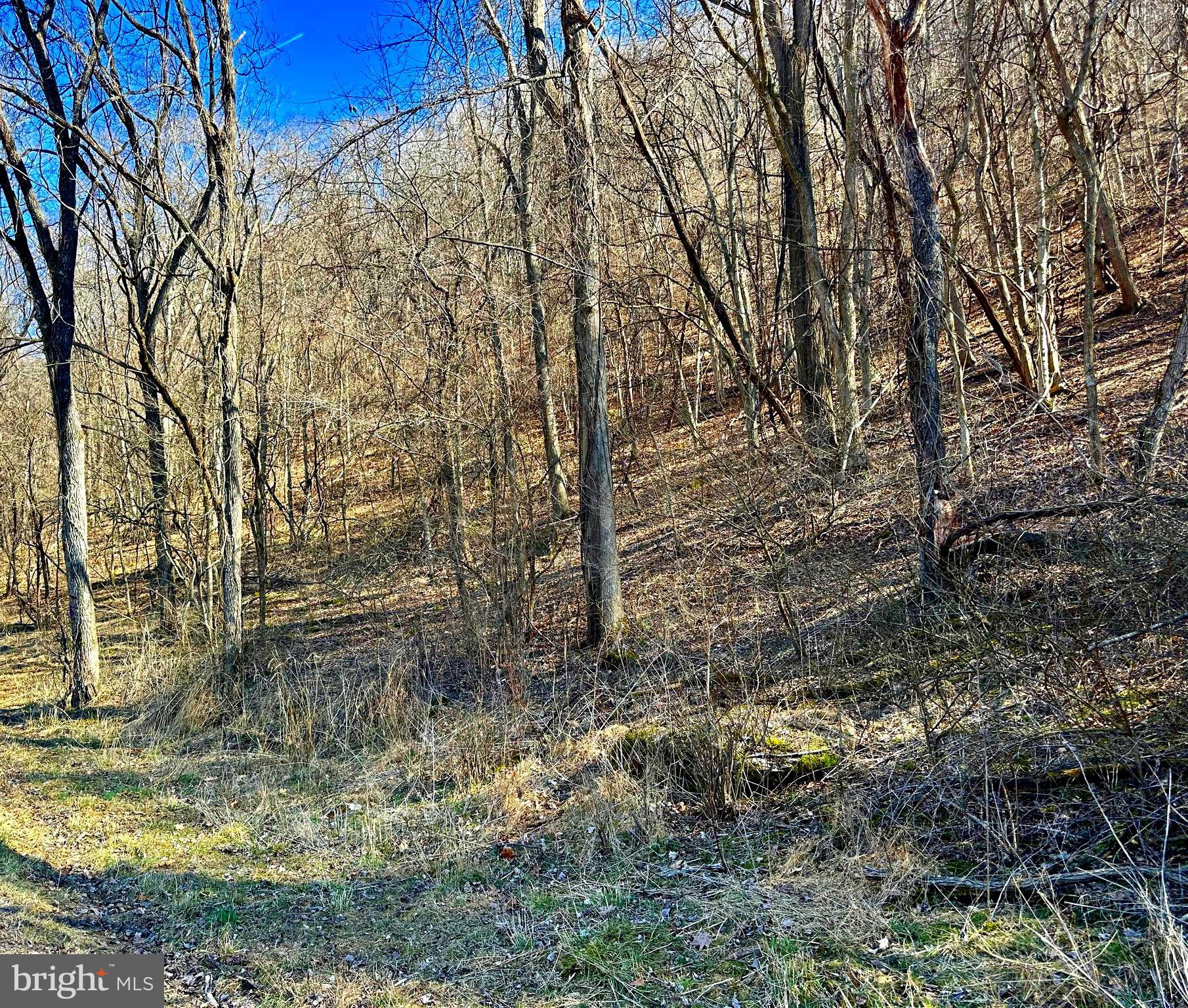 NONE UNRESTRICTED - Land