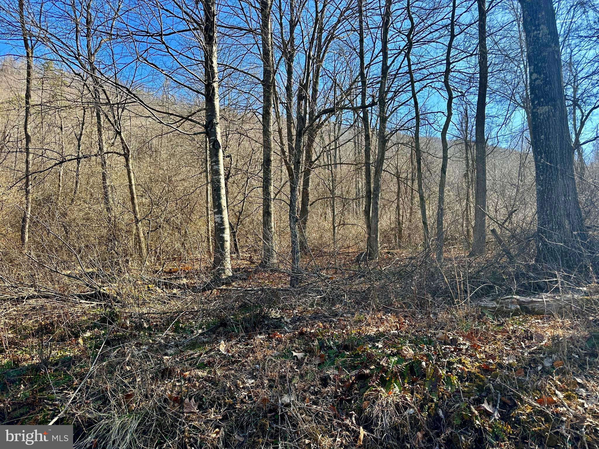 NONE UNRESTRICTED - Land