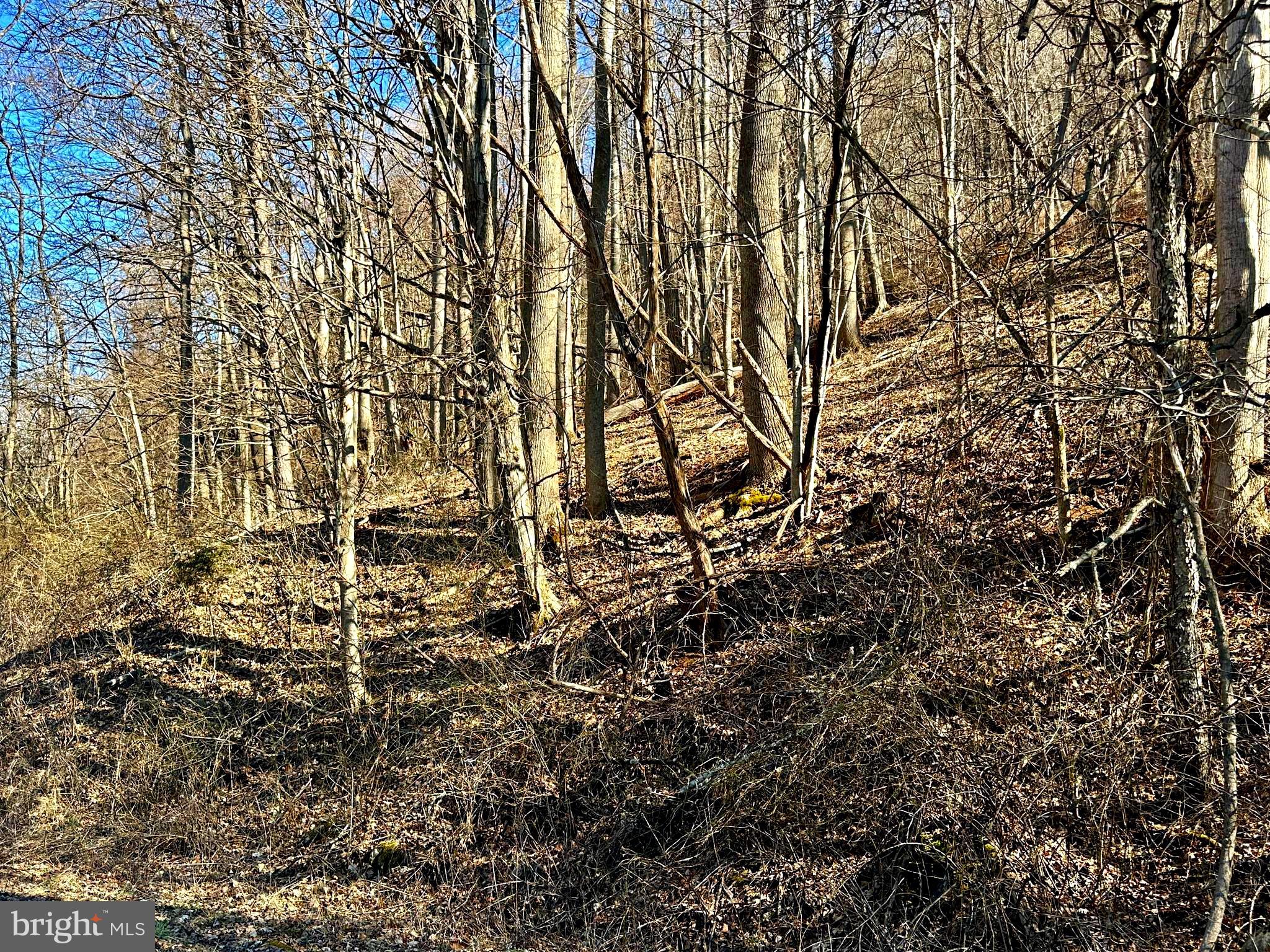 NONE UNRESTRICTED - Land