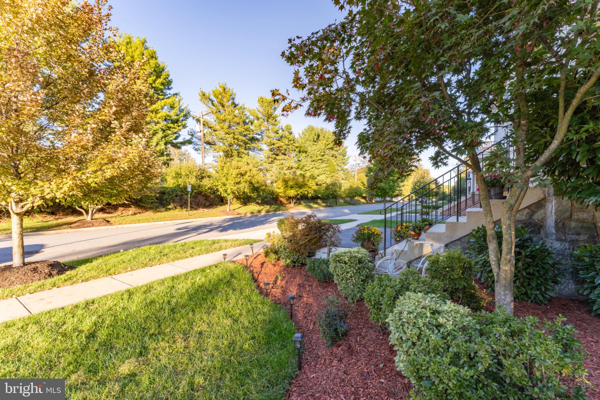 3020 BIG BEAR TERRACE