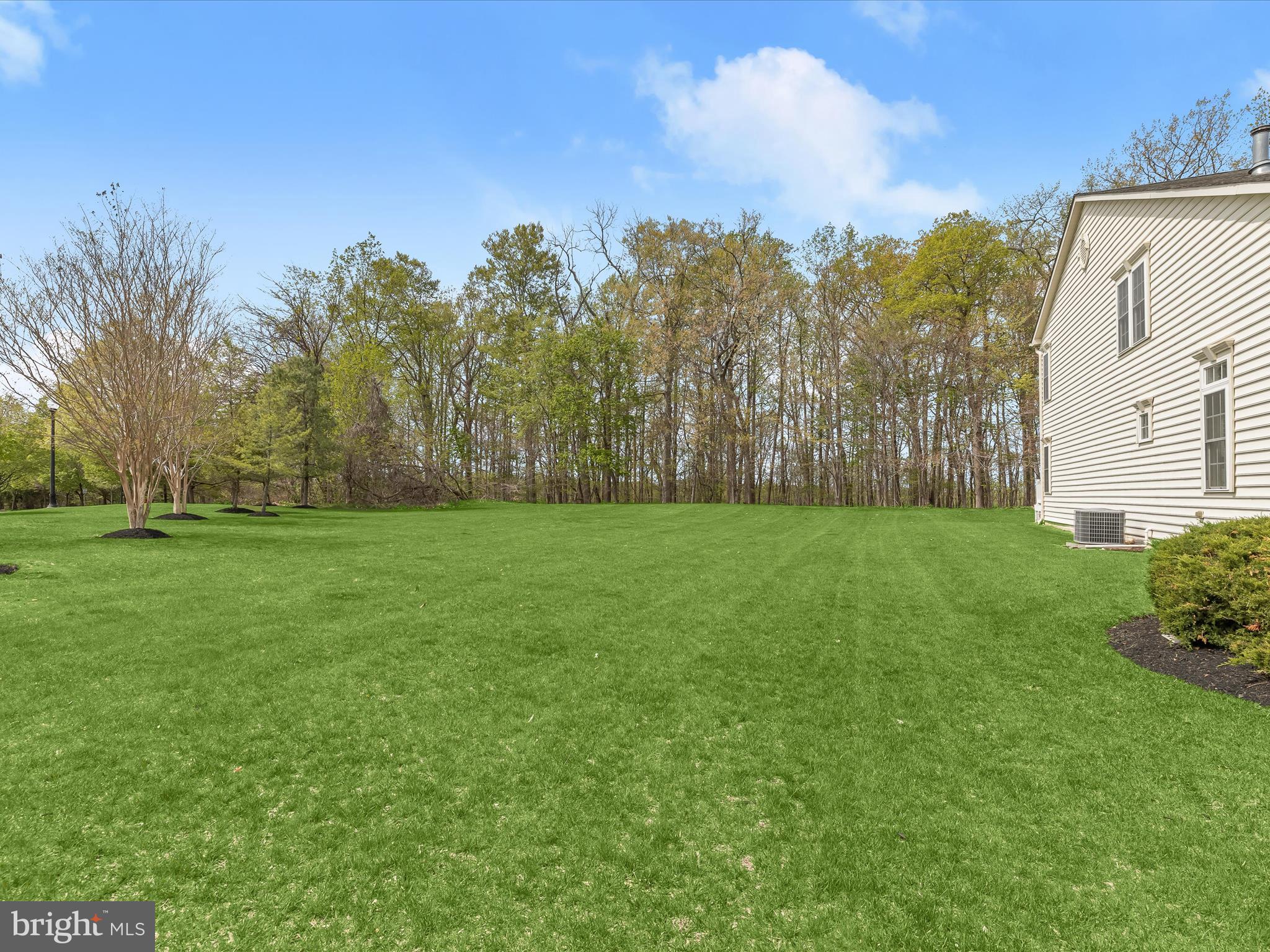 VILLAGES AT WOODHOLME - Residential