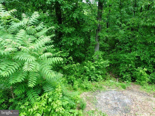 MCDONALD - Residential