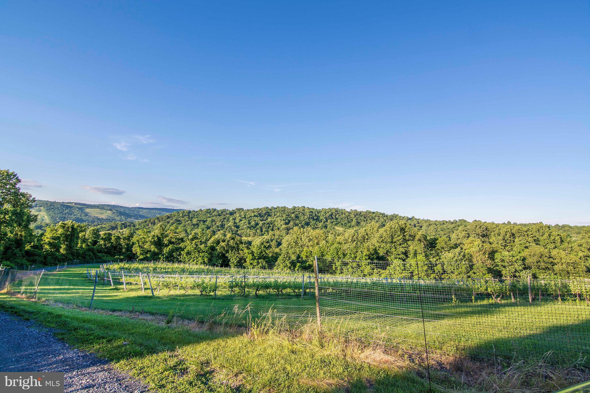 THE RIDGES - Residential