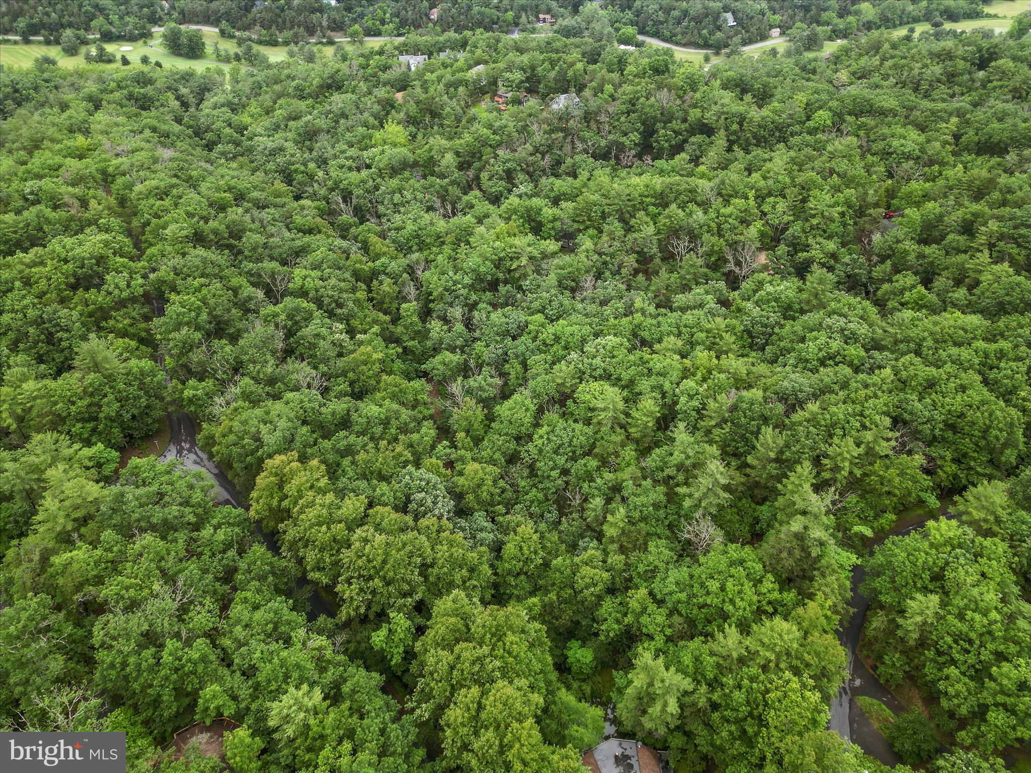 BRYCE MOUNTAIN RESORT - Land
