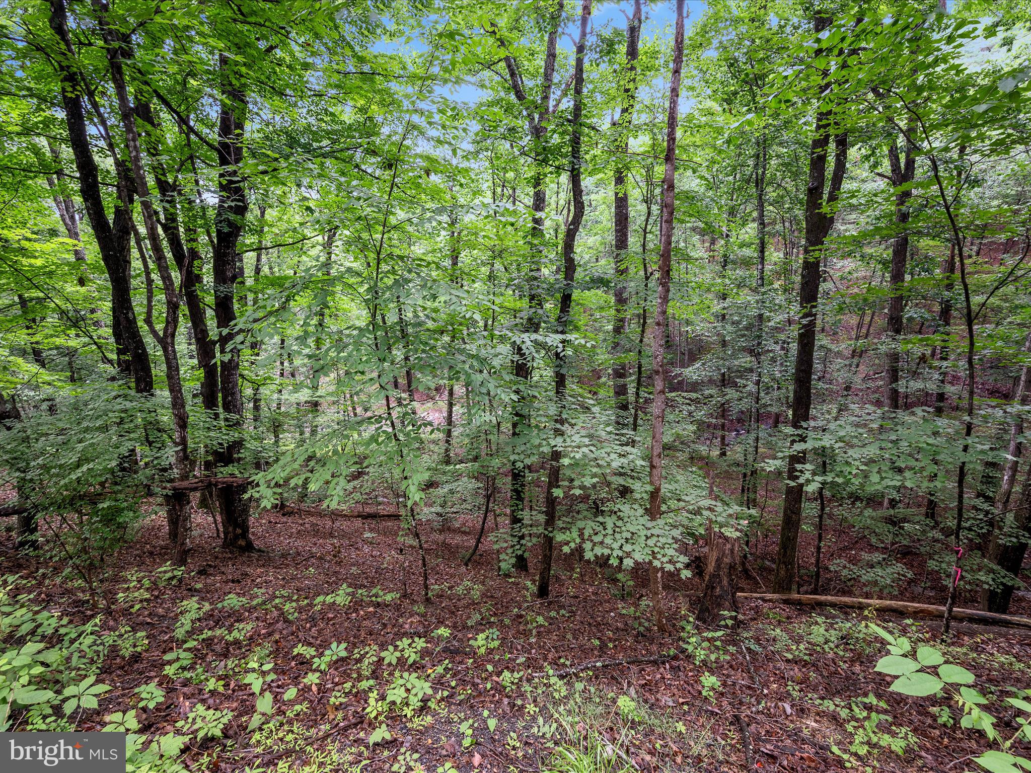 BRYCE MOUNTAIN RESORT - Land