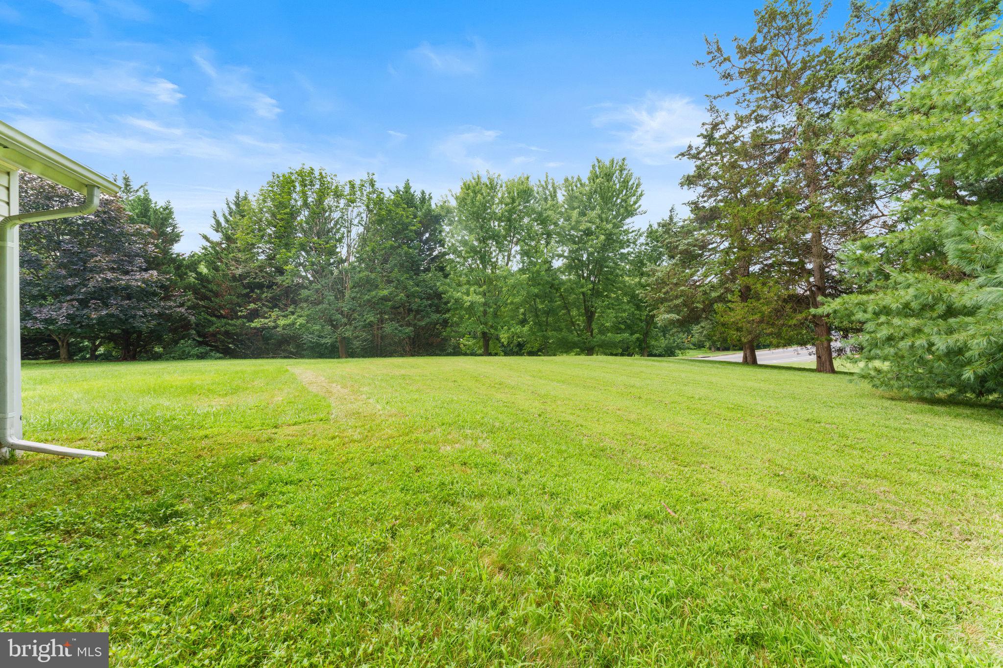 OAK TREE - Residential