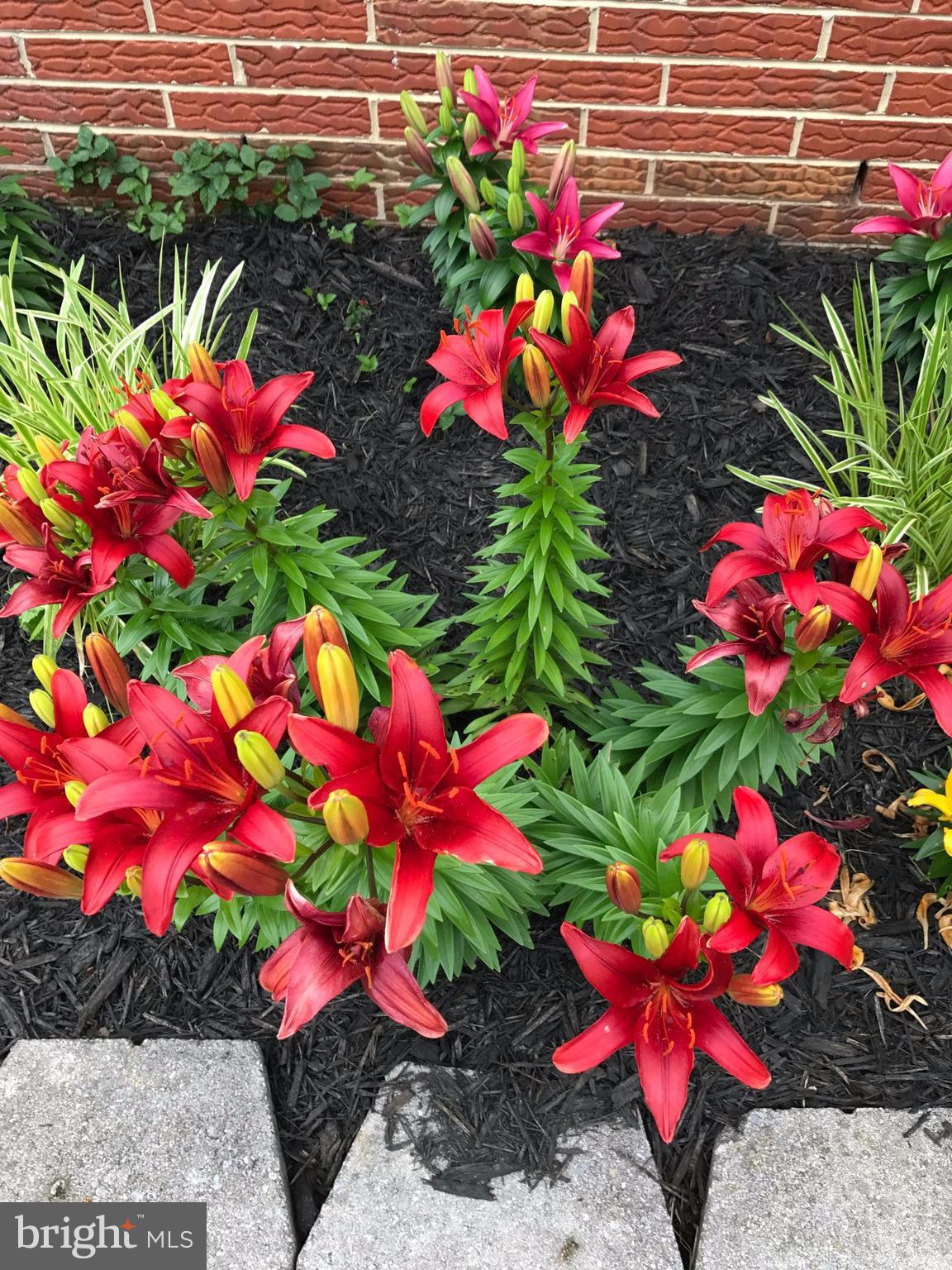 FAIRWAY GARDENS - Residential