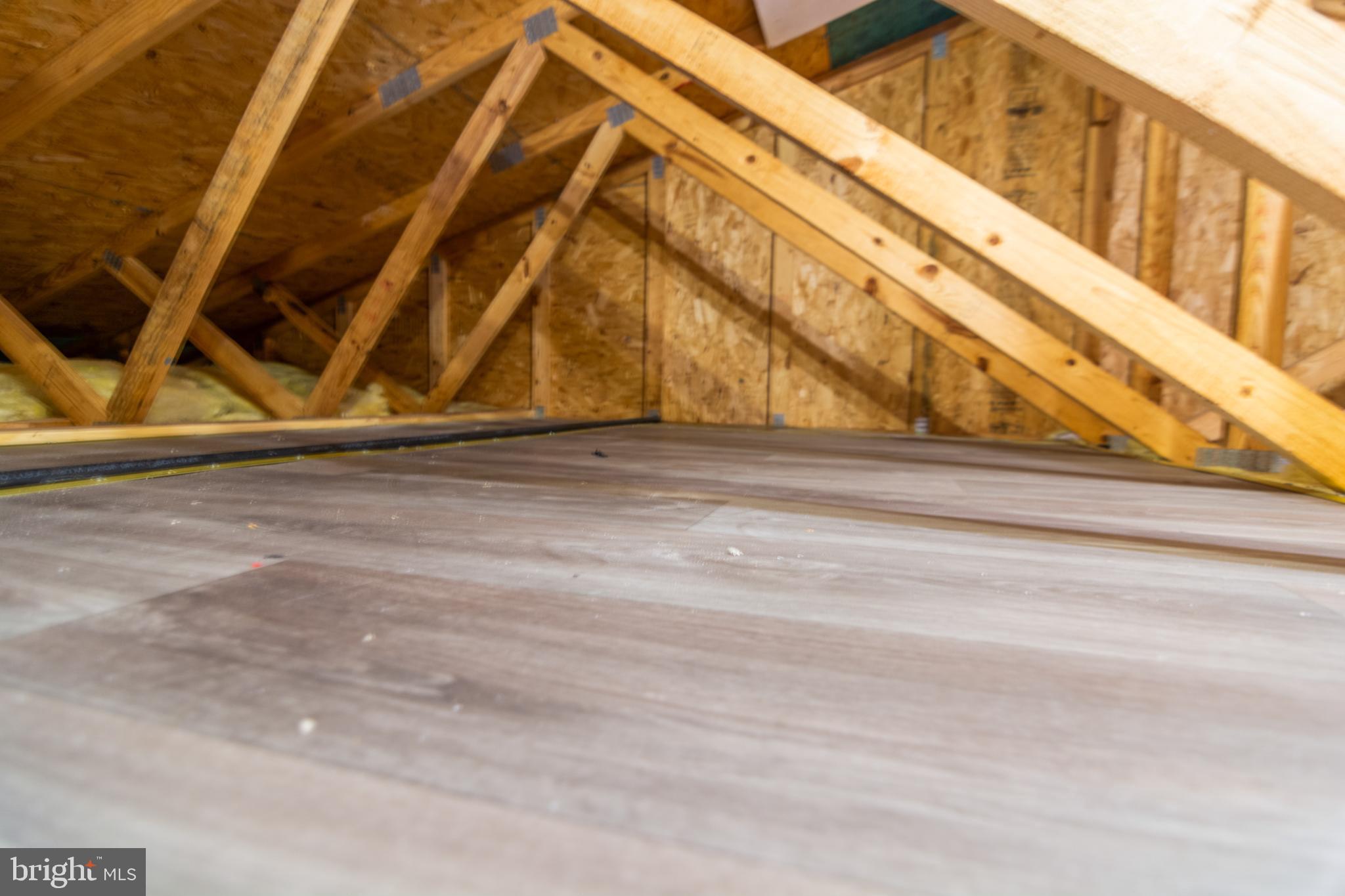 QUEENS PARK - Residential