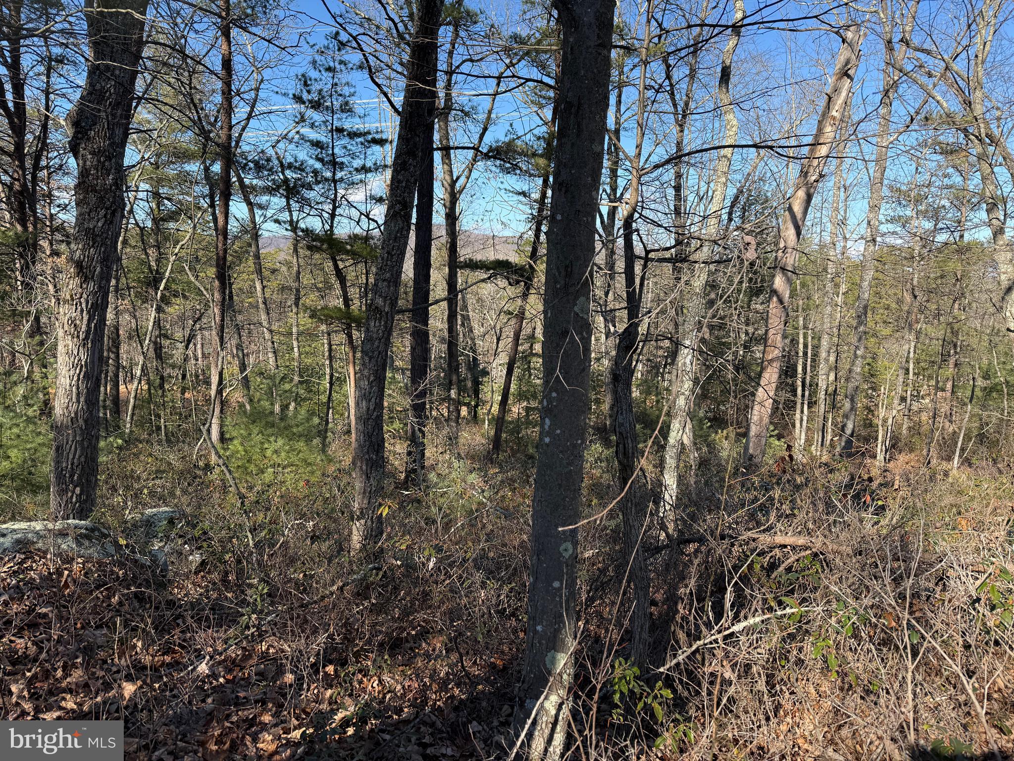 RITTERS HIDDEN VALLEY - Land