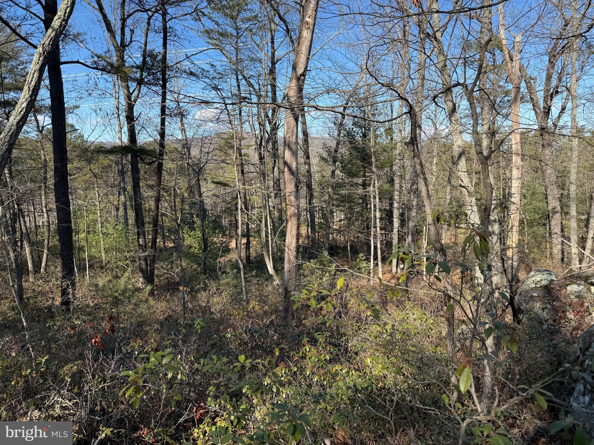 RITTERS HIDDEN VALLEY - Land