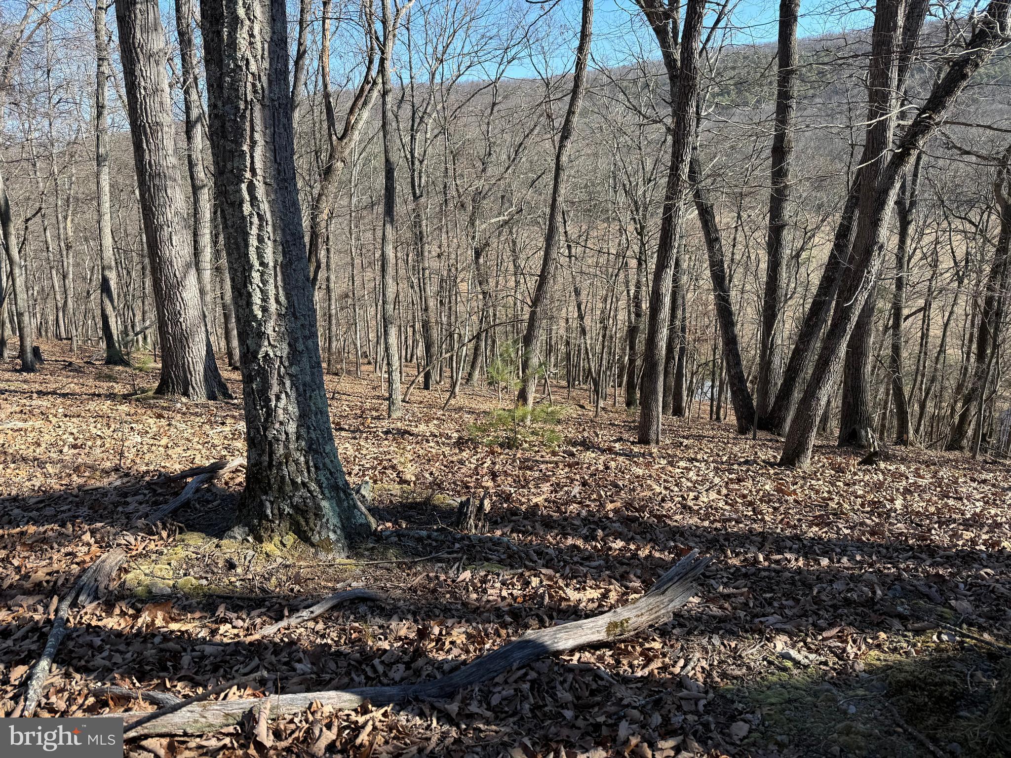 RITTERS HIDDEN VALLEY - Land