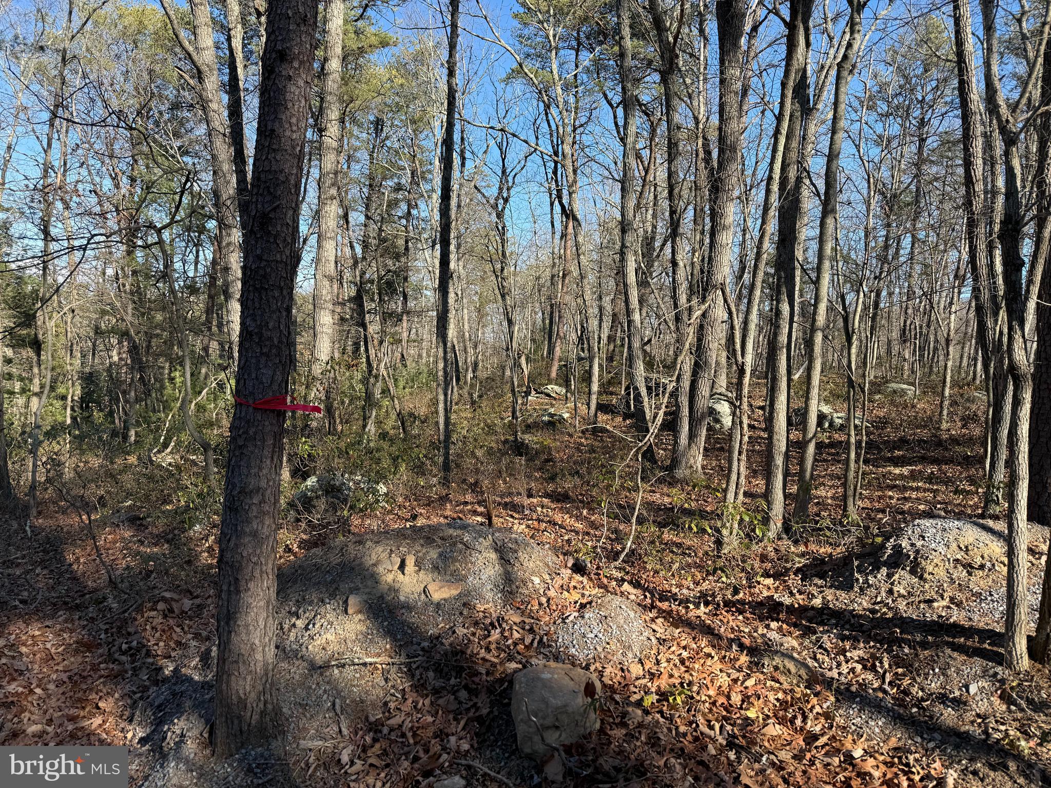 RITTERS HIDDEN VALLEY - Land