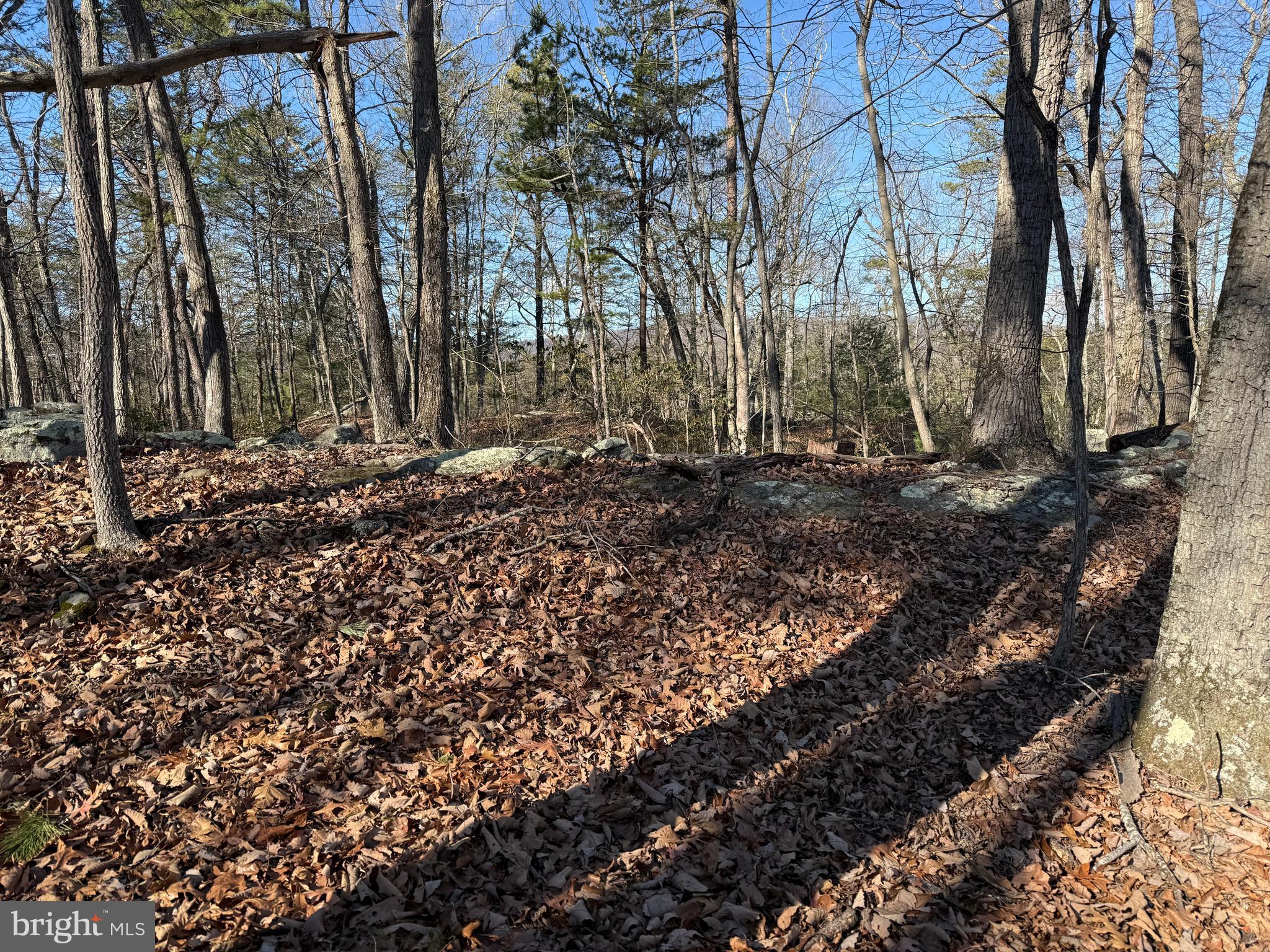 RITTERS HIDDEN VALLEY - Land