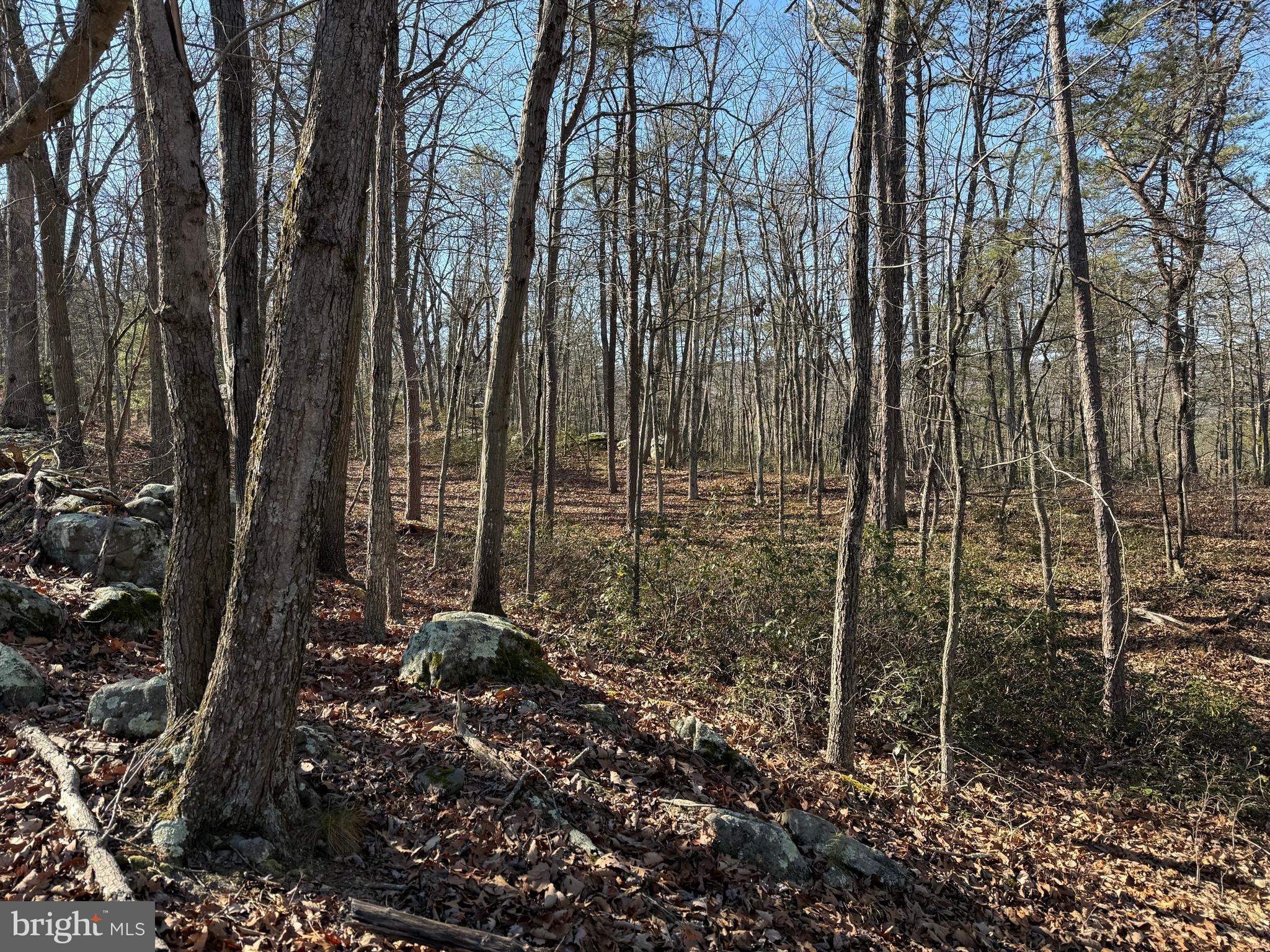 RITTERS HIDDEN VALLEY - Land