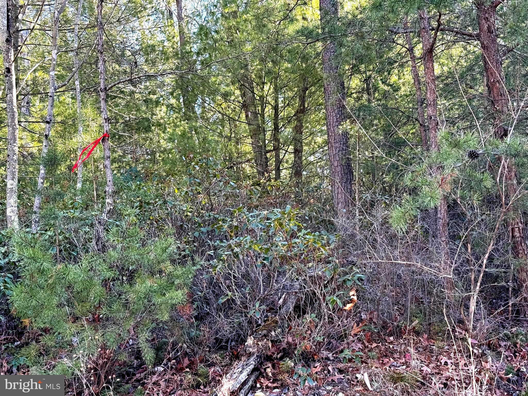 RITTERS HIDDEN VALLEY - Land