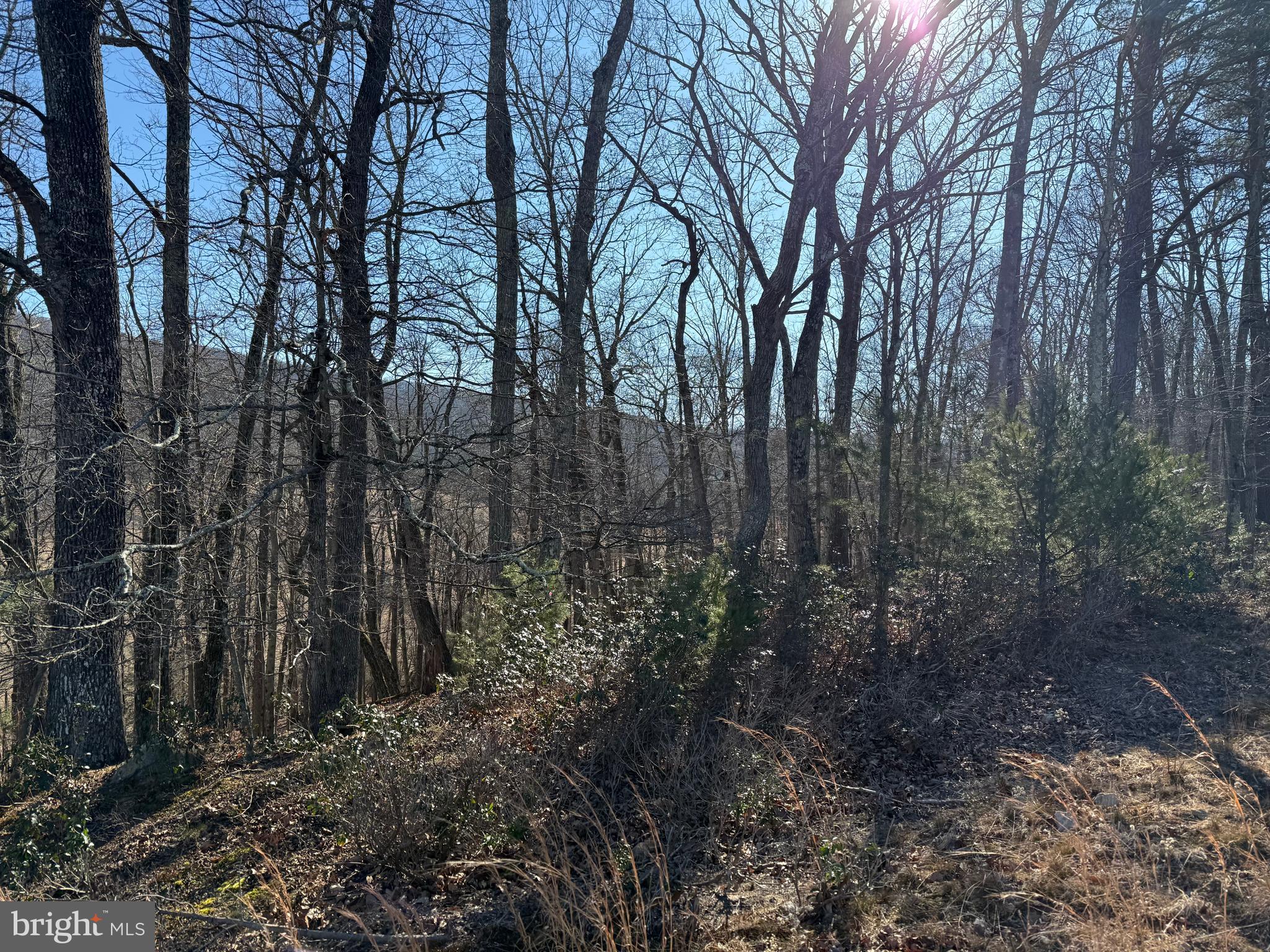 LOT 7 & 8 HIDDEN RITTERS VALLEY