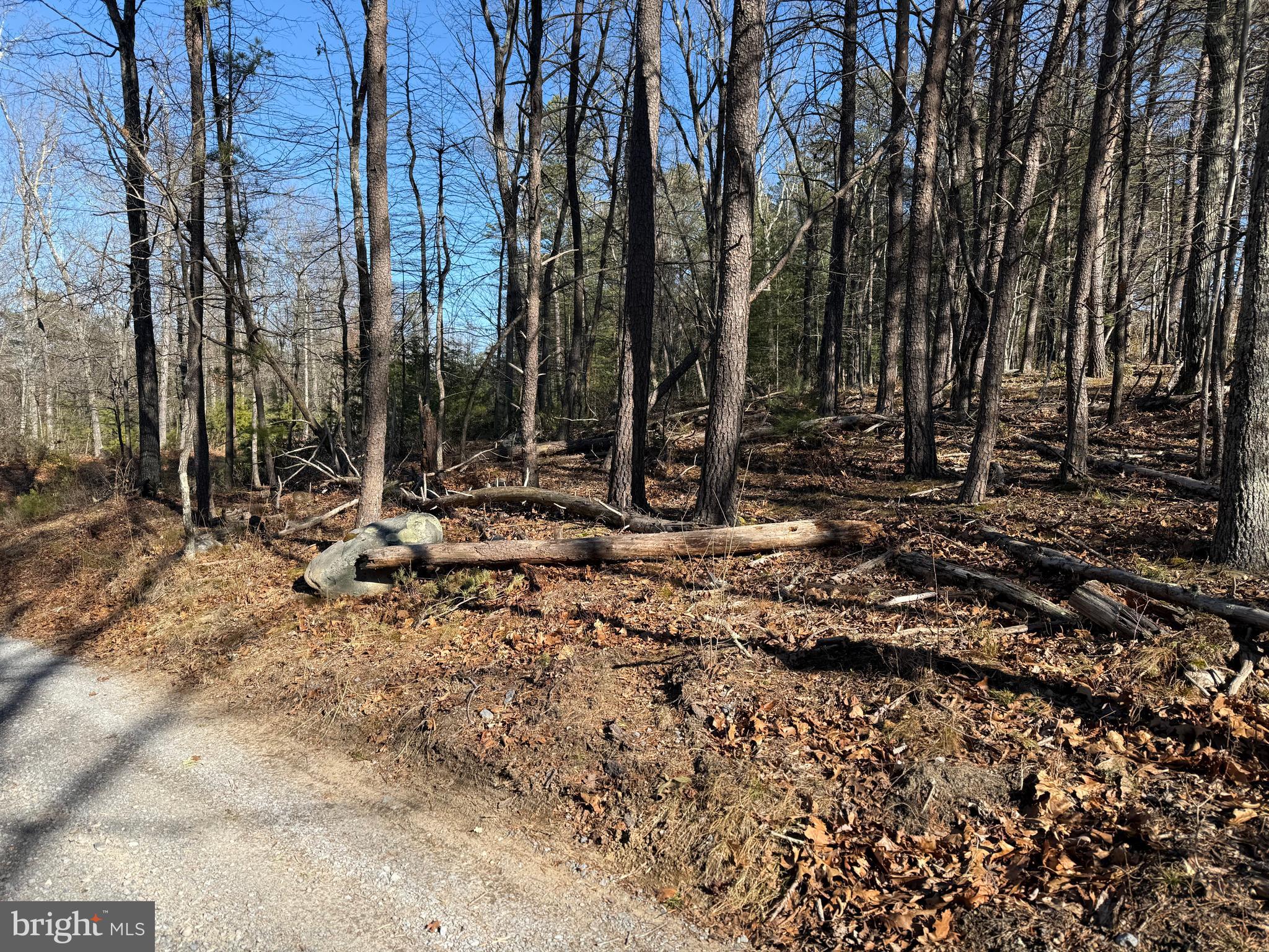 RITTERS HIDDEN VALLEY - Land