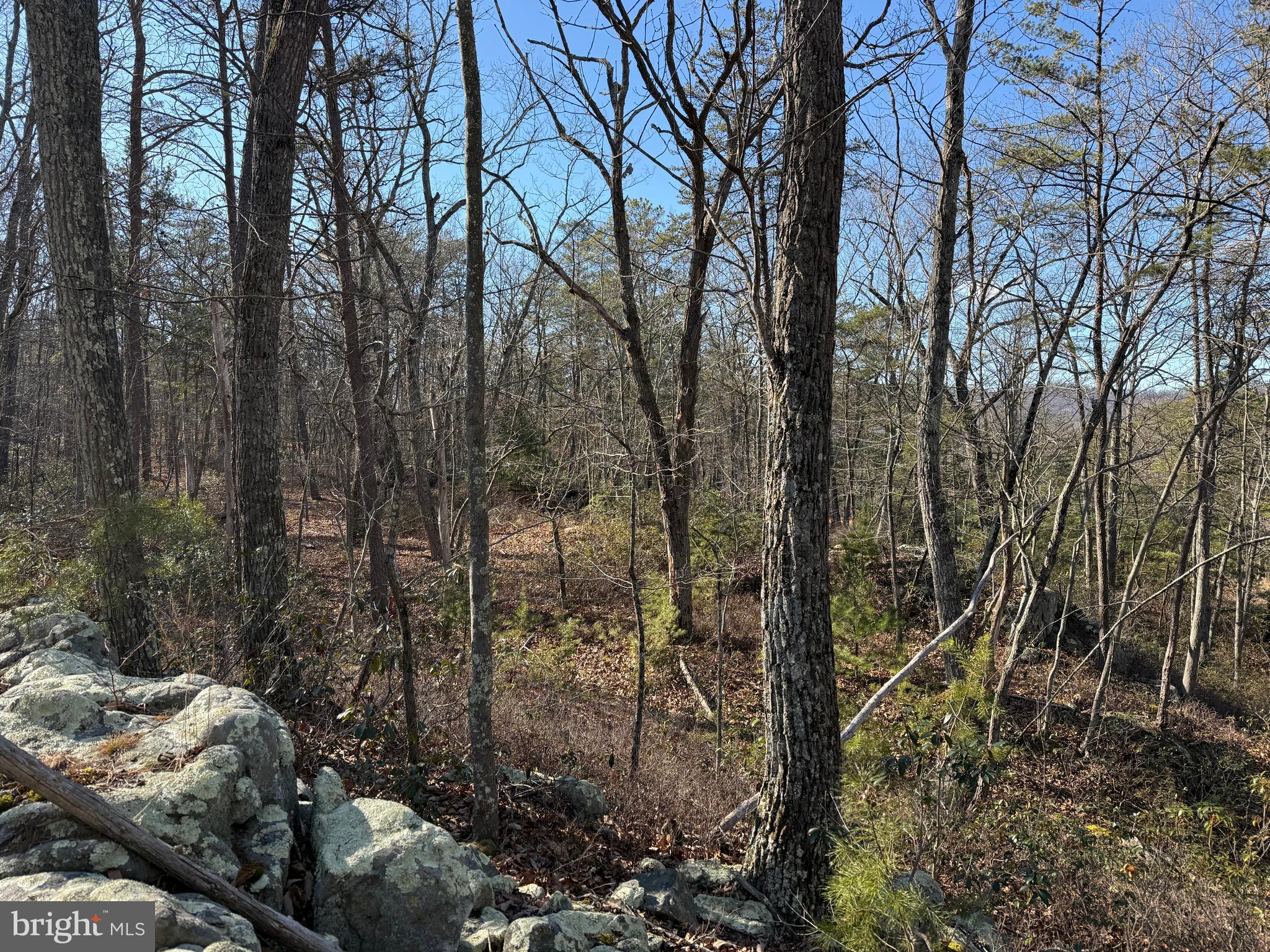 RITTERS HIDDEN VALLEY - Land