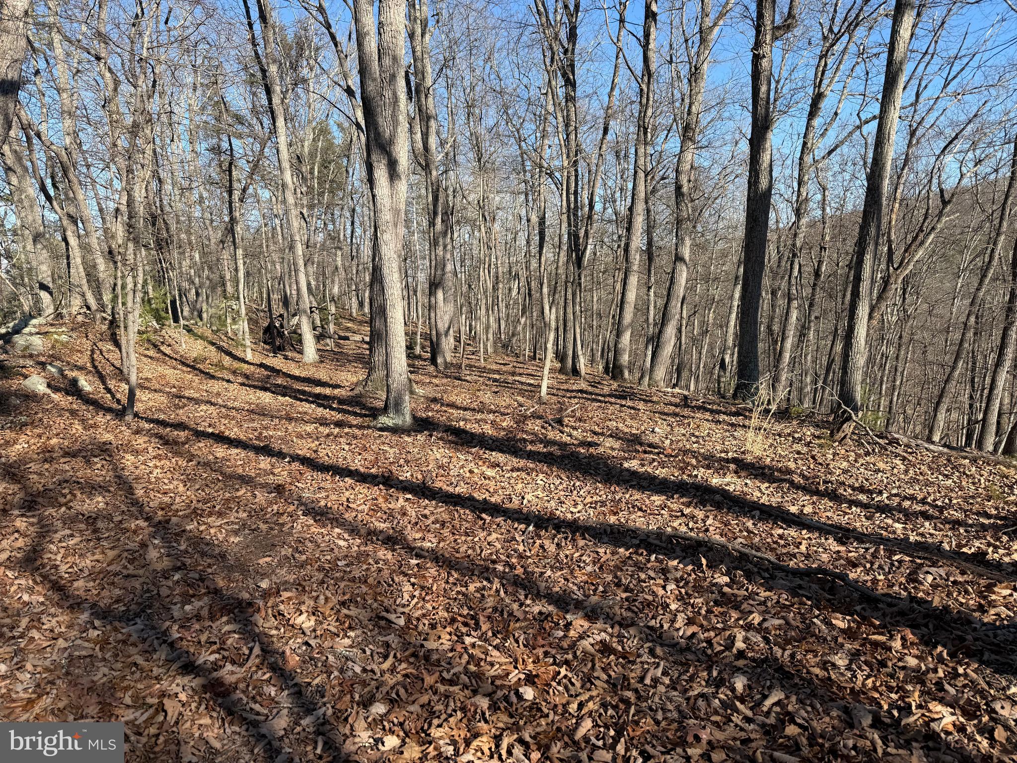 RITTERS HIDDEN VALLEY - Land