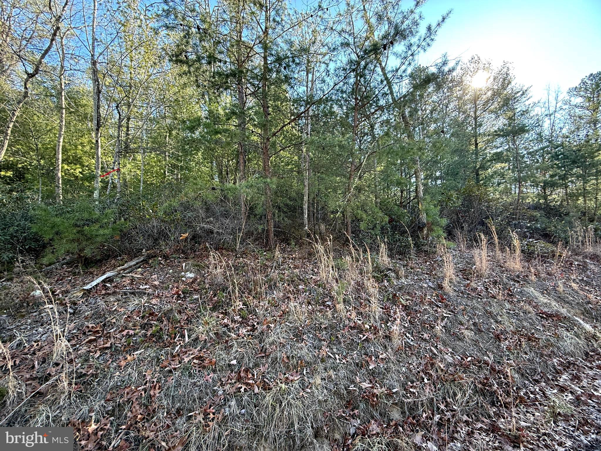 RITTERS HIDDEN VALLEY - Land