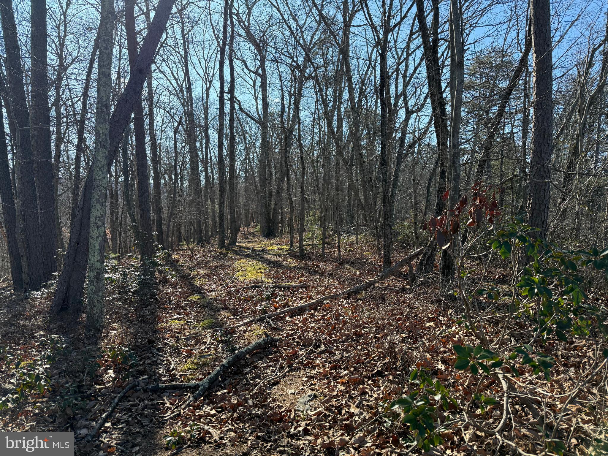 RITTERS HIDDEN VALLEY - Land